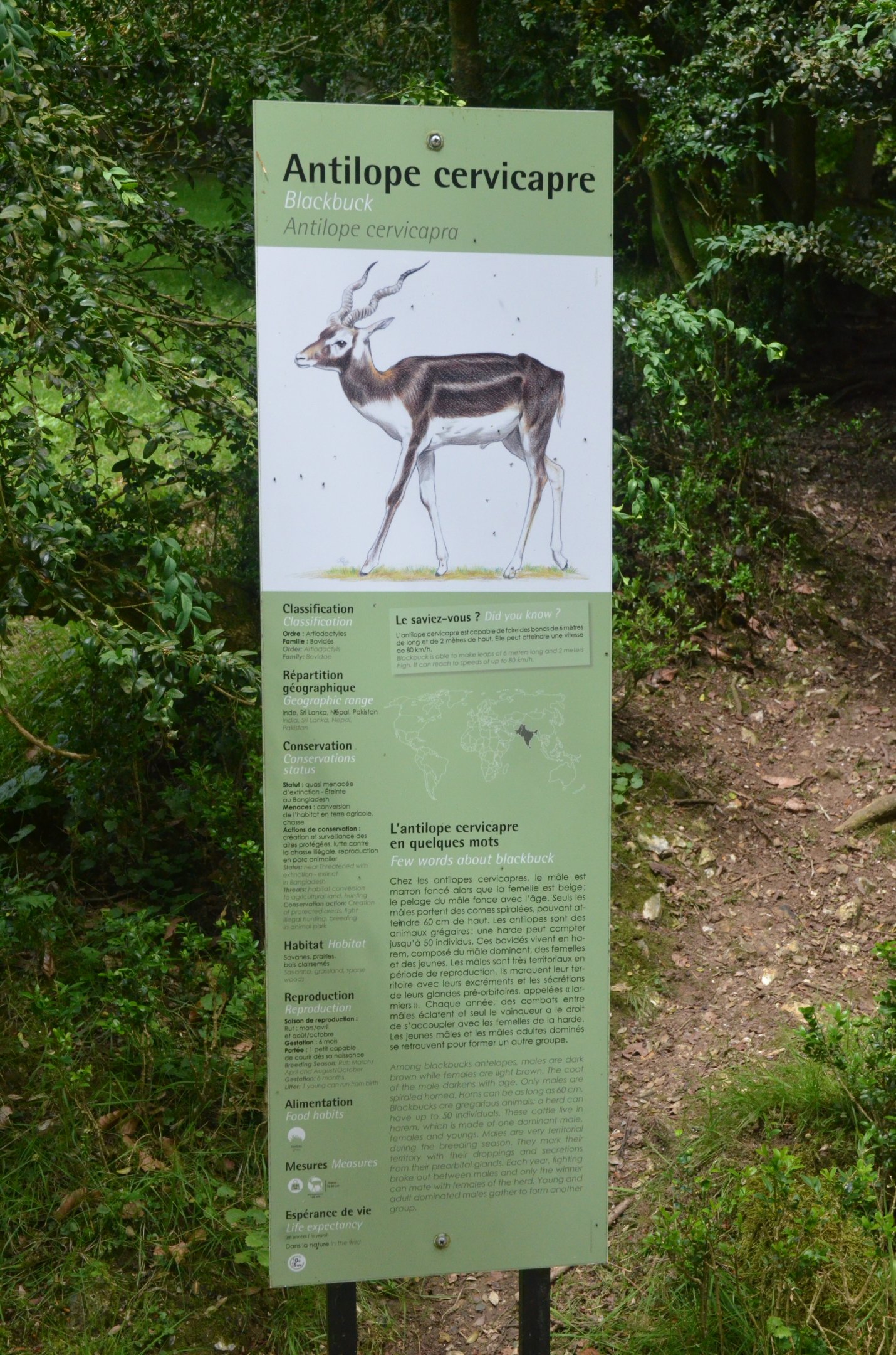 Signage Example at Clères, 16/06/18