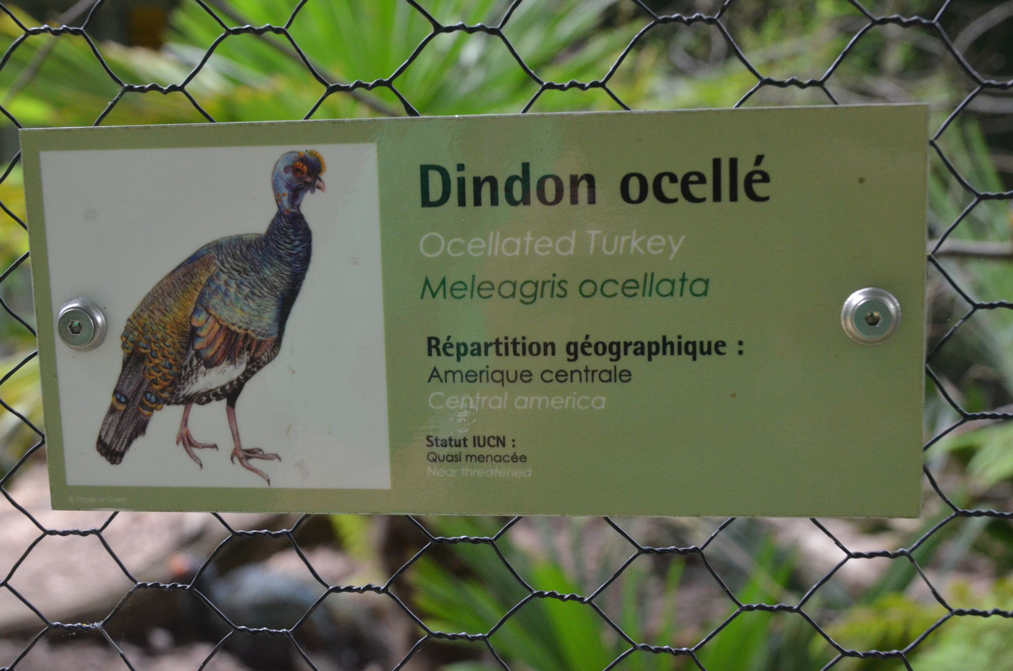 Signage Example at Clères, 16/06/18