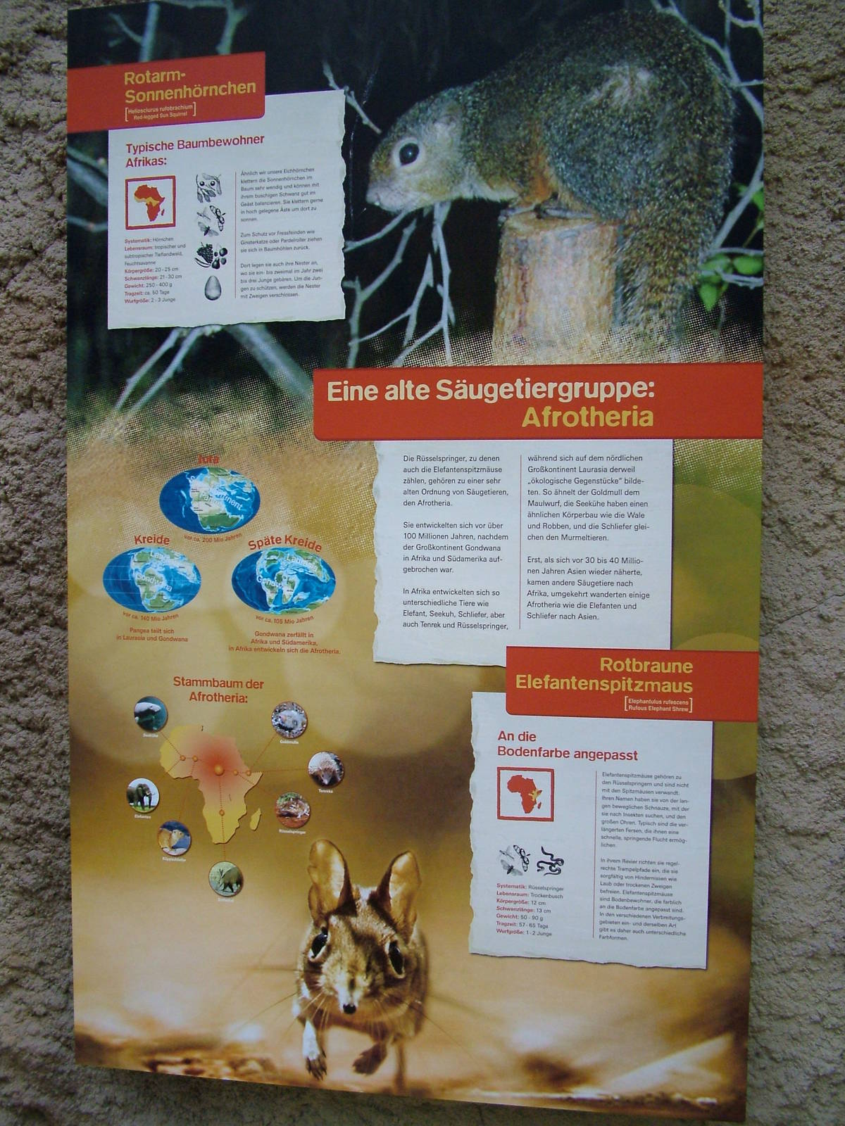 Signage Example at Cologne, 07/09/10