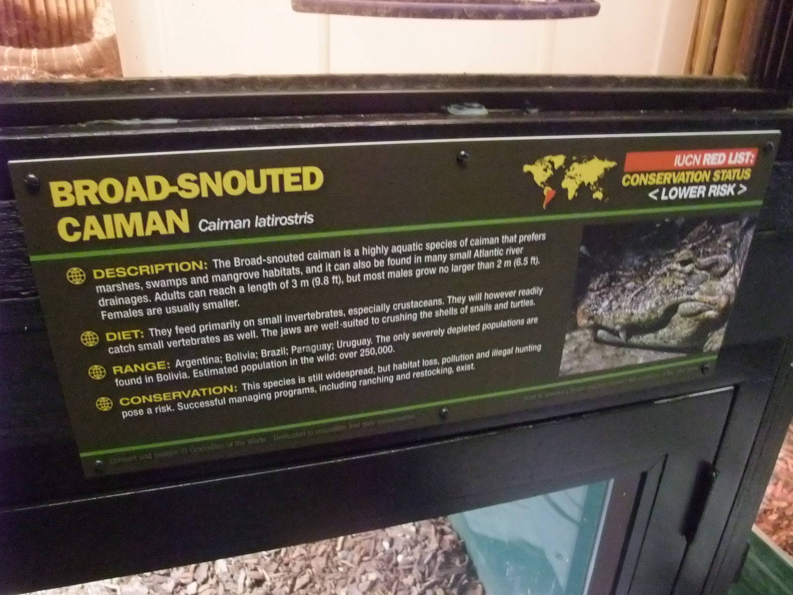 Signage Example at Crocodiles of the World, 05/02/12