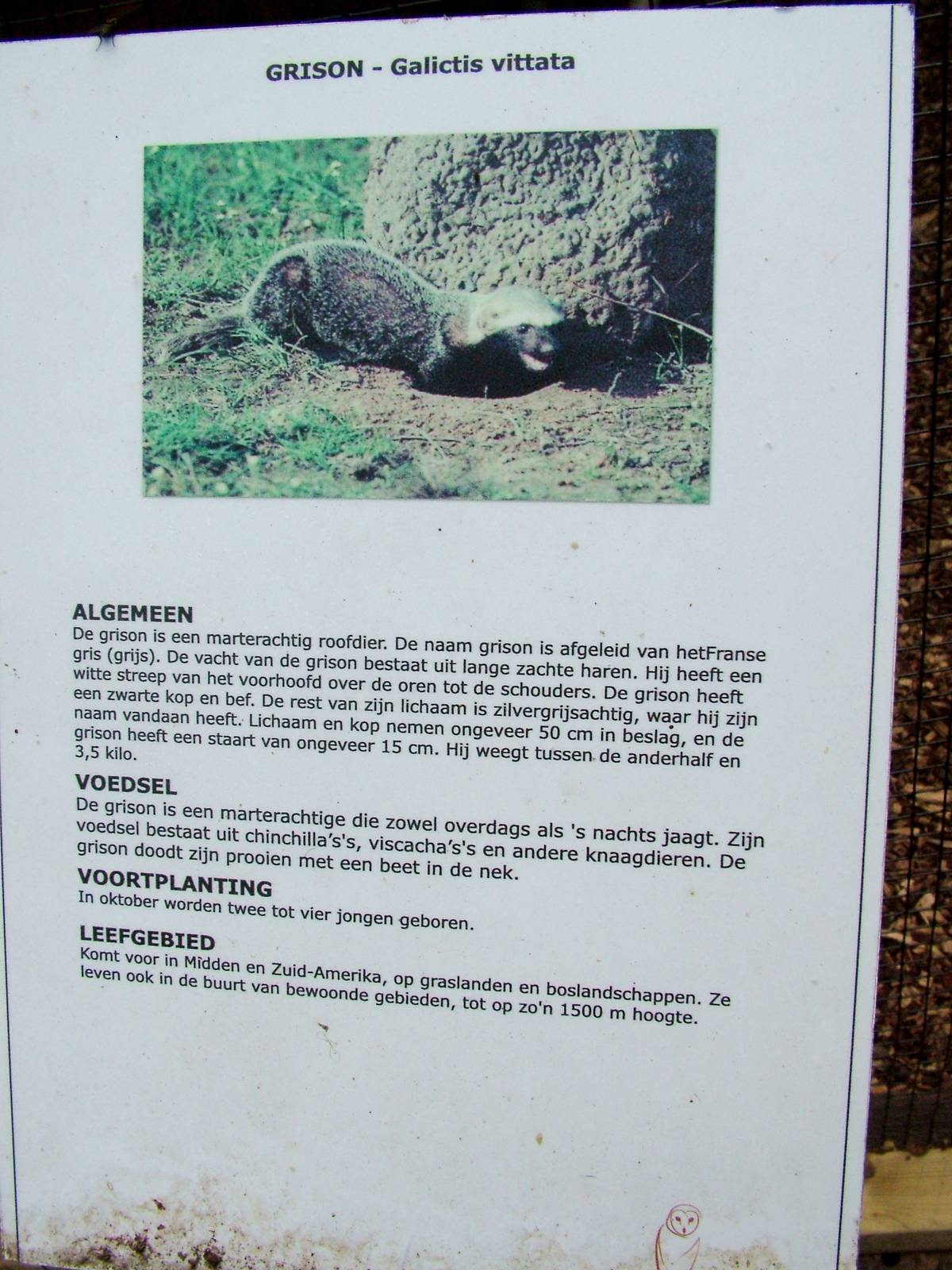 Signage Example at De Paay, 02/06/12