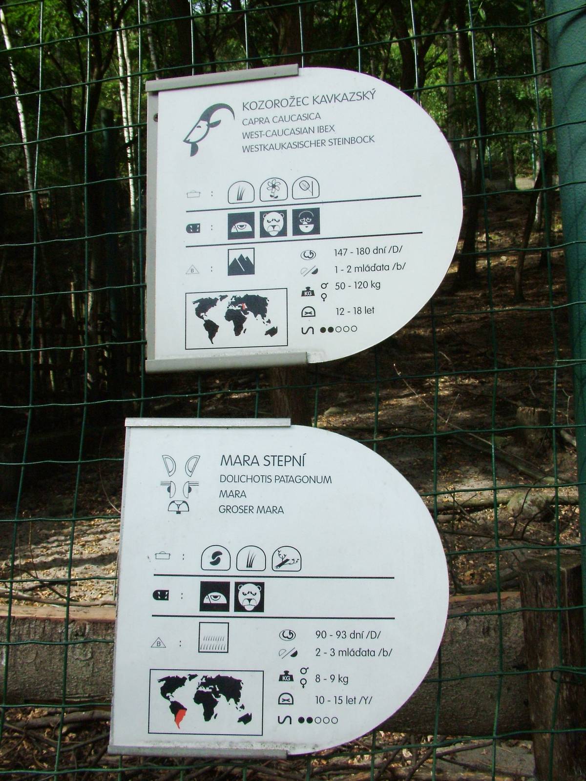 Signage Example at Decin, 28/08/12