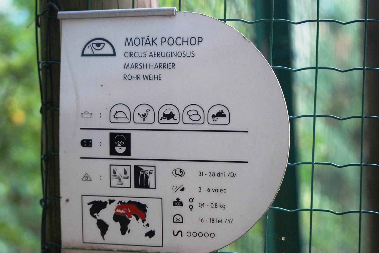 Signage Example at Decin, 28/08/12