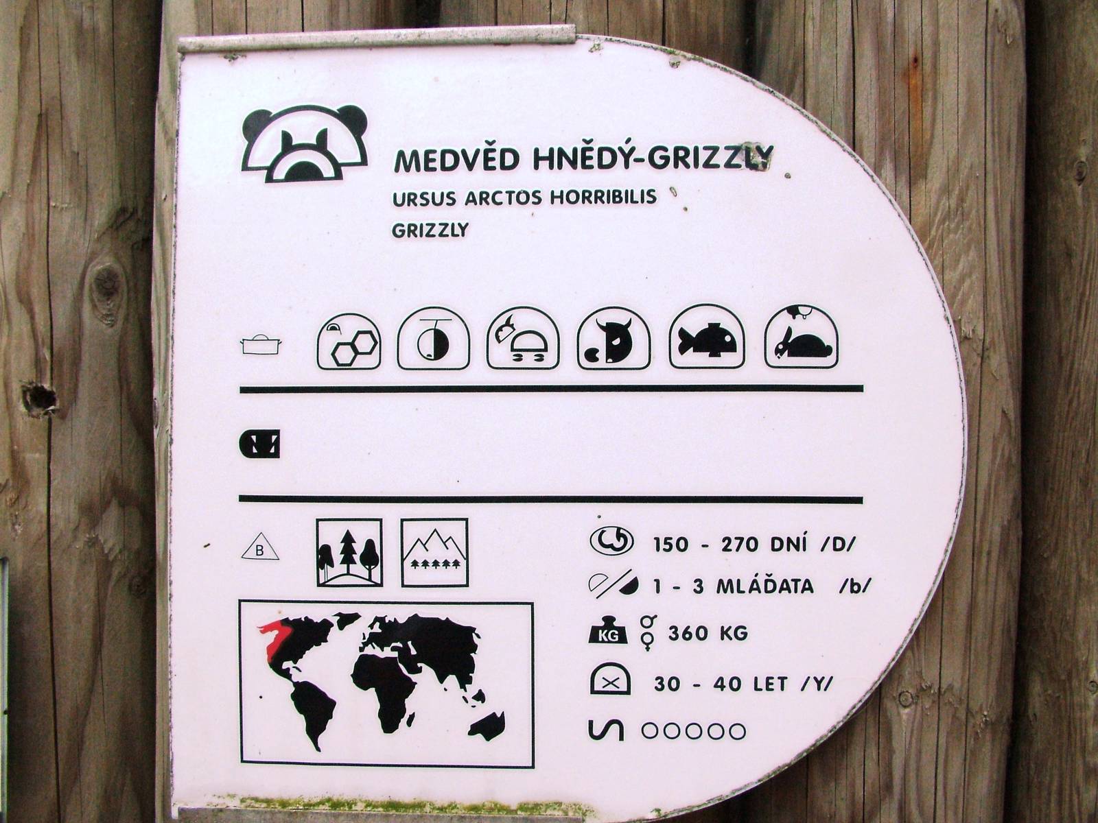 Signage Example at Decin, 28/08/12