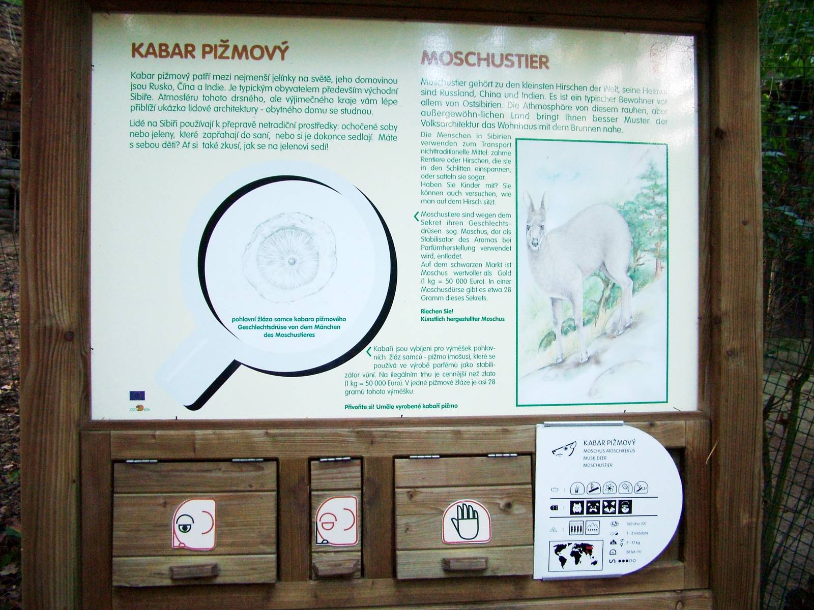 Signage Example at Decin, 28/08/12