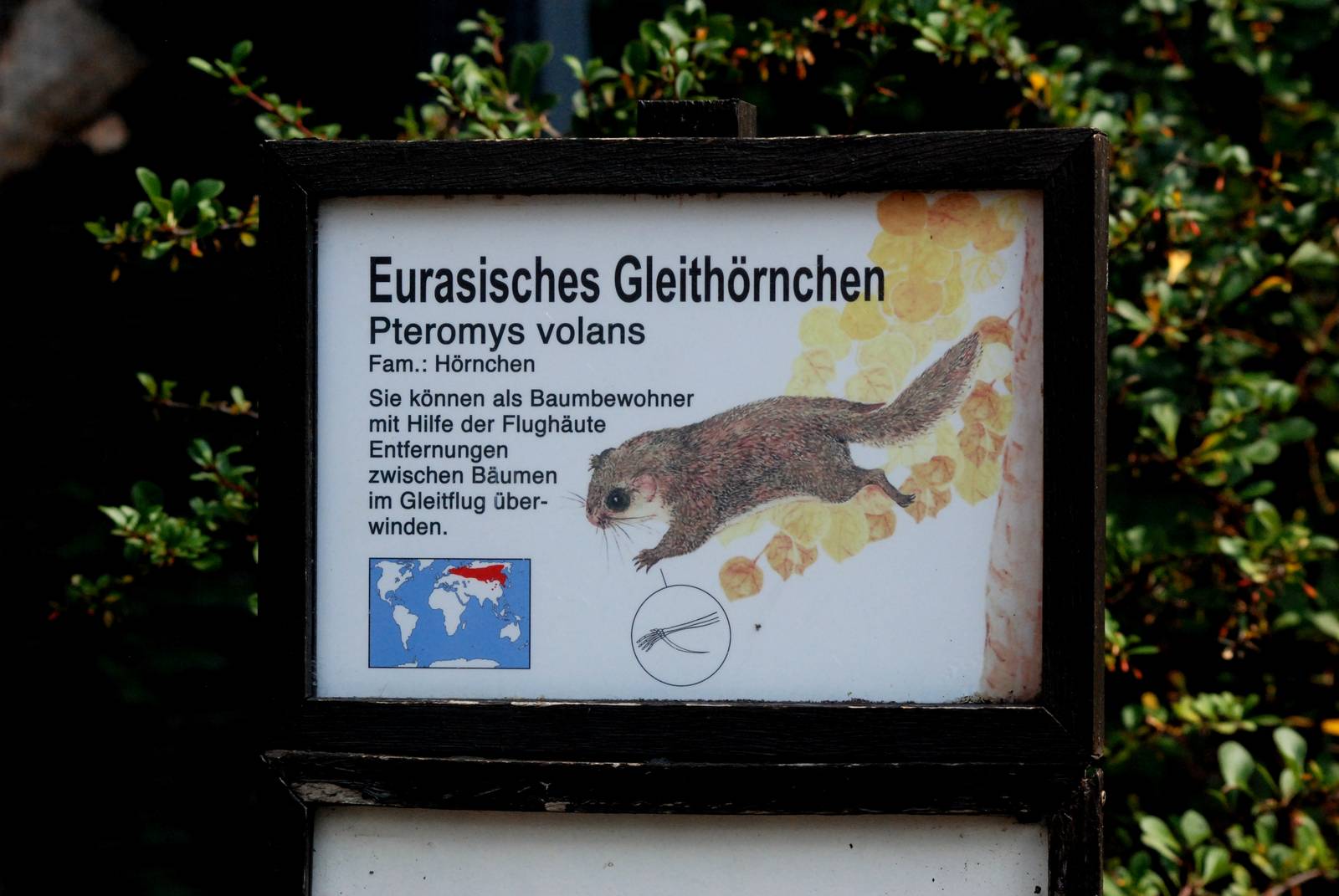 Signage Example at Dresden, 29/08/12