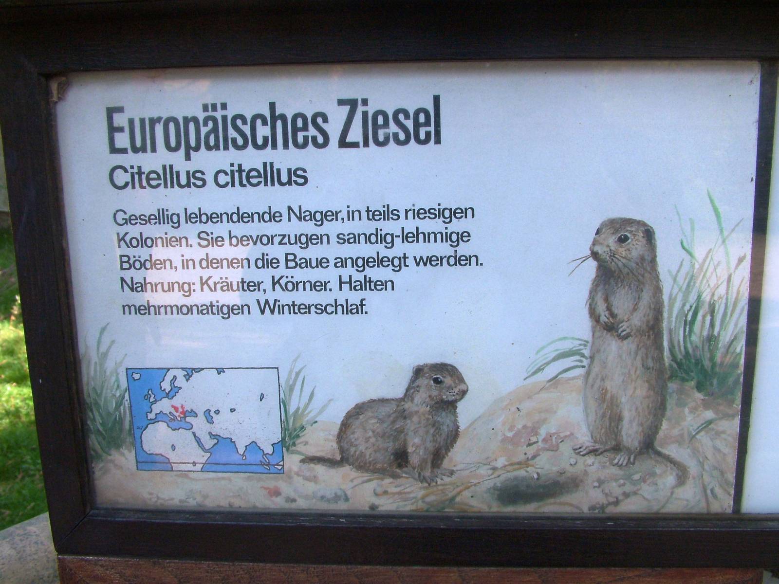 Signage Example at Dresden, 29/08/12