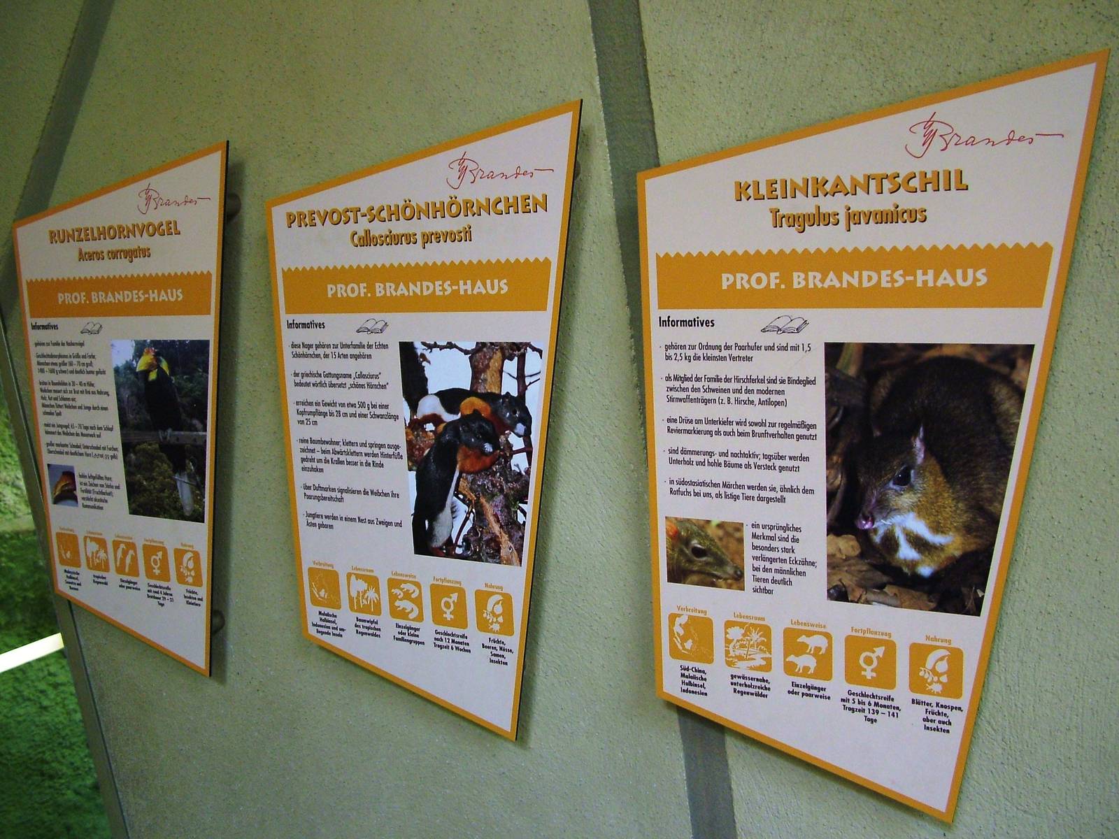 Signage Example at Dresden, 29/08/12