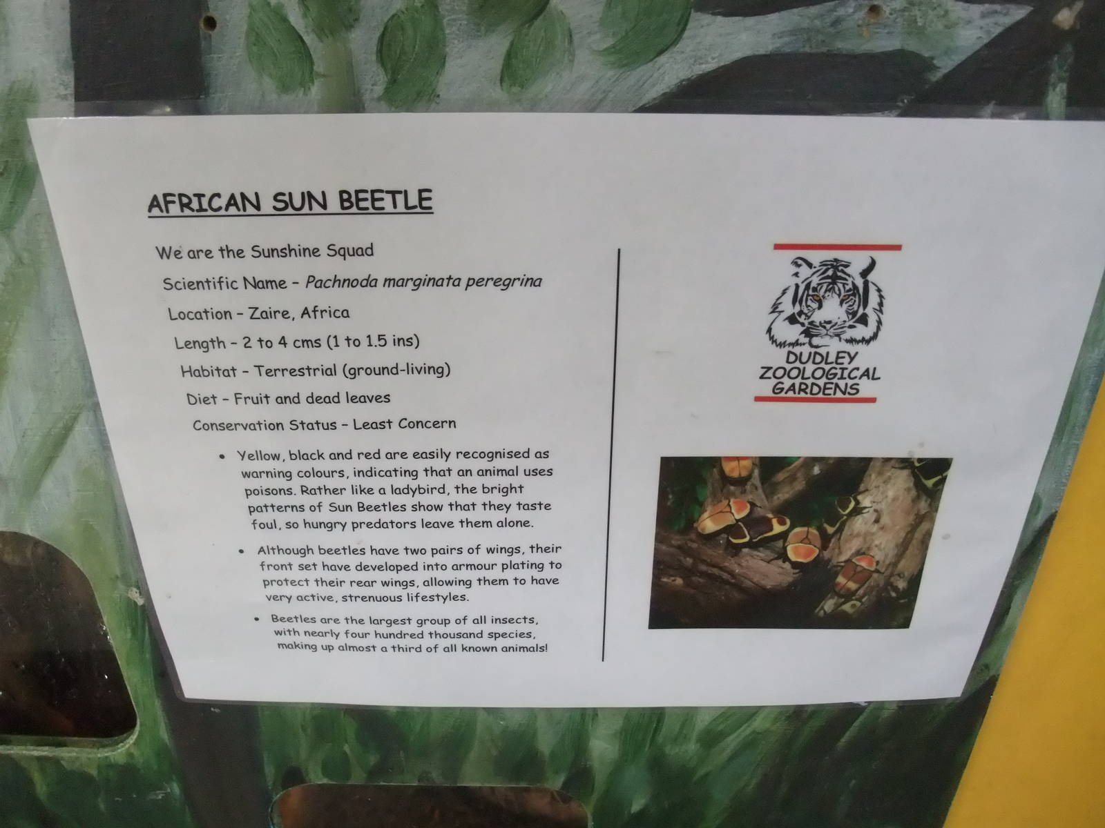 Signage Example at Dudley, 18/12/11