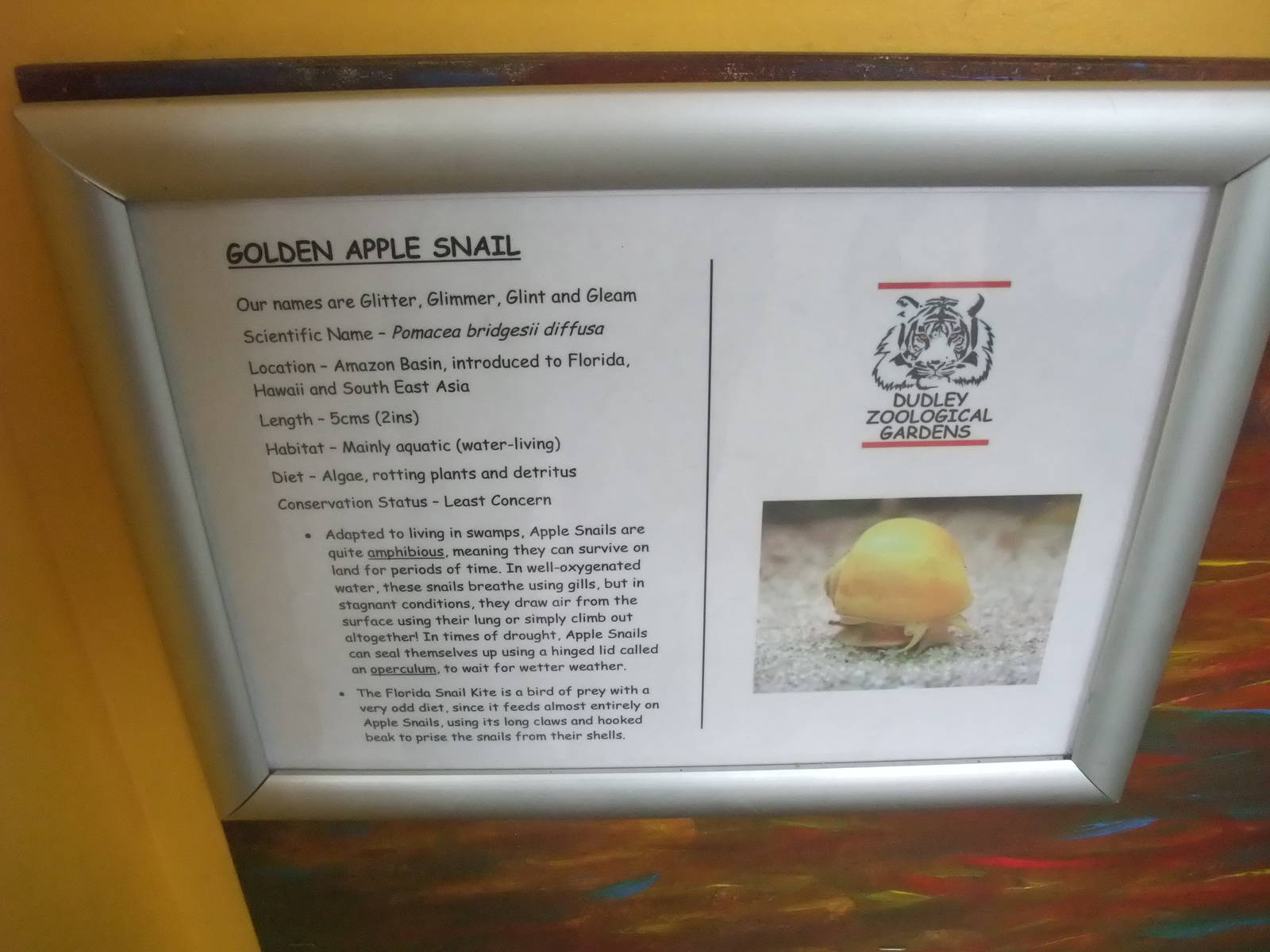 Signage Example at Dudley, 18/12/11