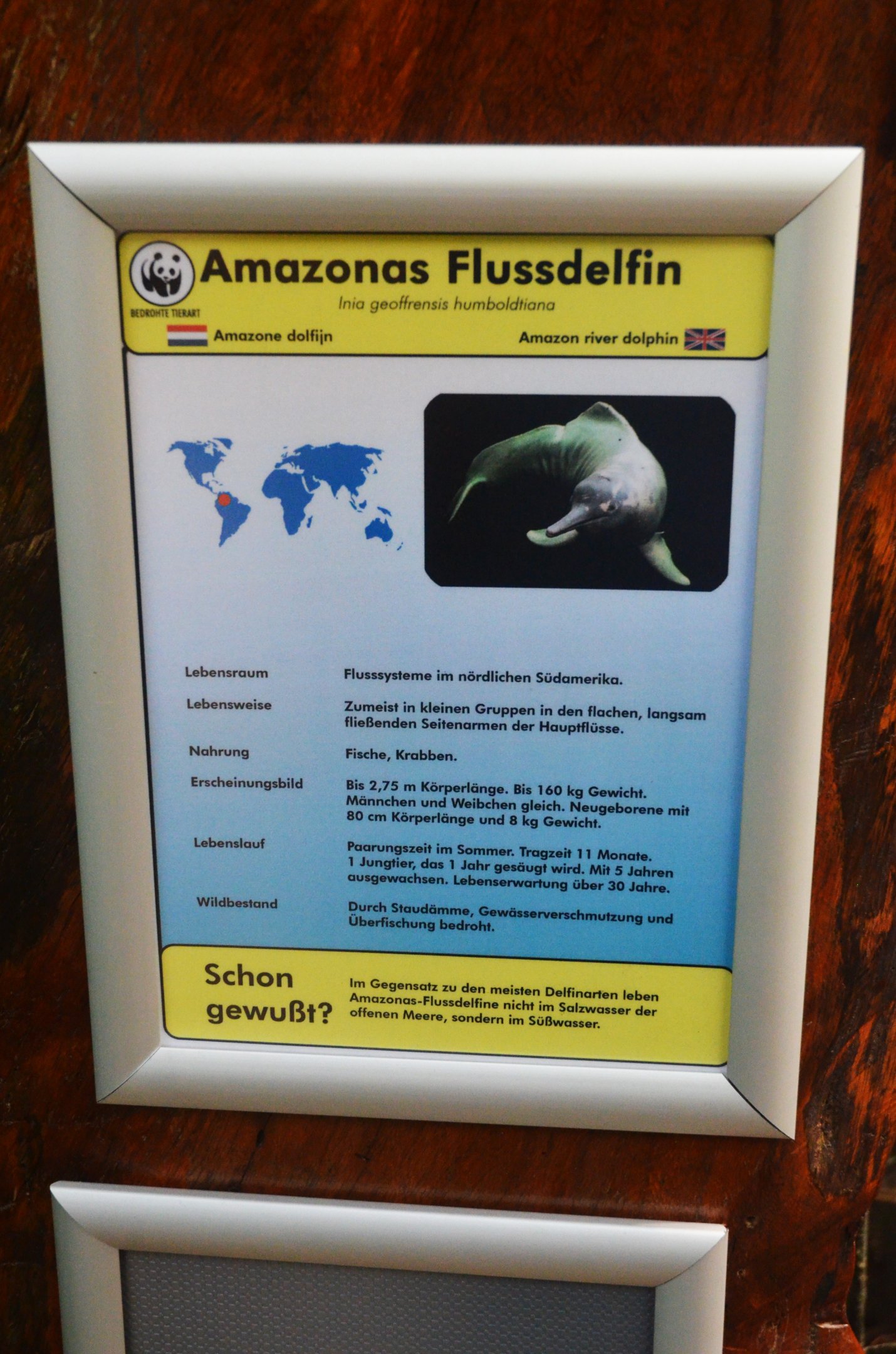 Signage Example at Duisburg, 17/06/19