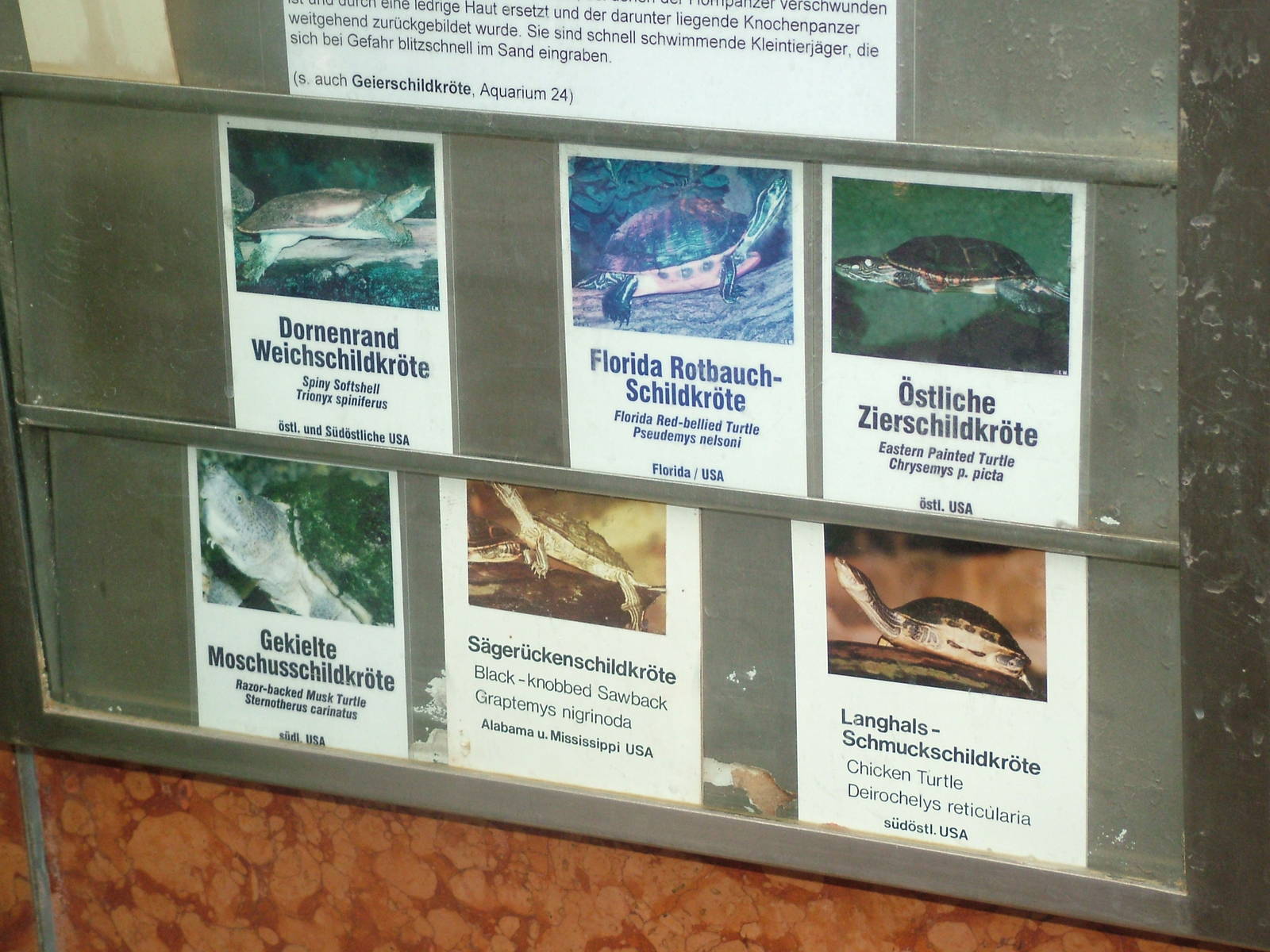 Signage Example at Frankfurt 31/08/10