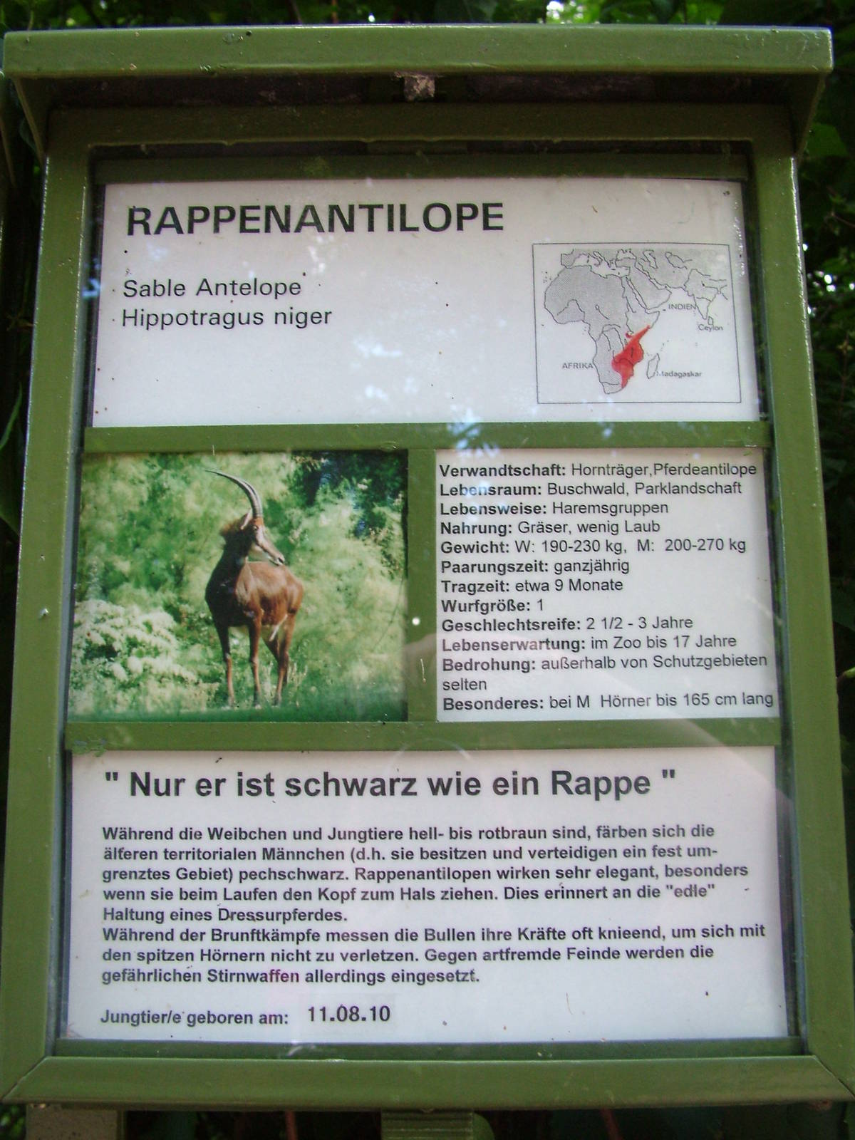 Signage Example at Frankfurt 31/08/10