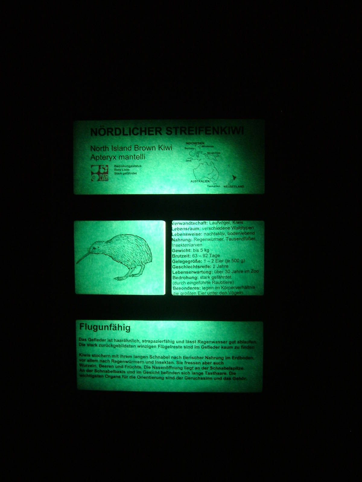 Signage Example at Frankfurt 31/08/10