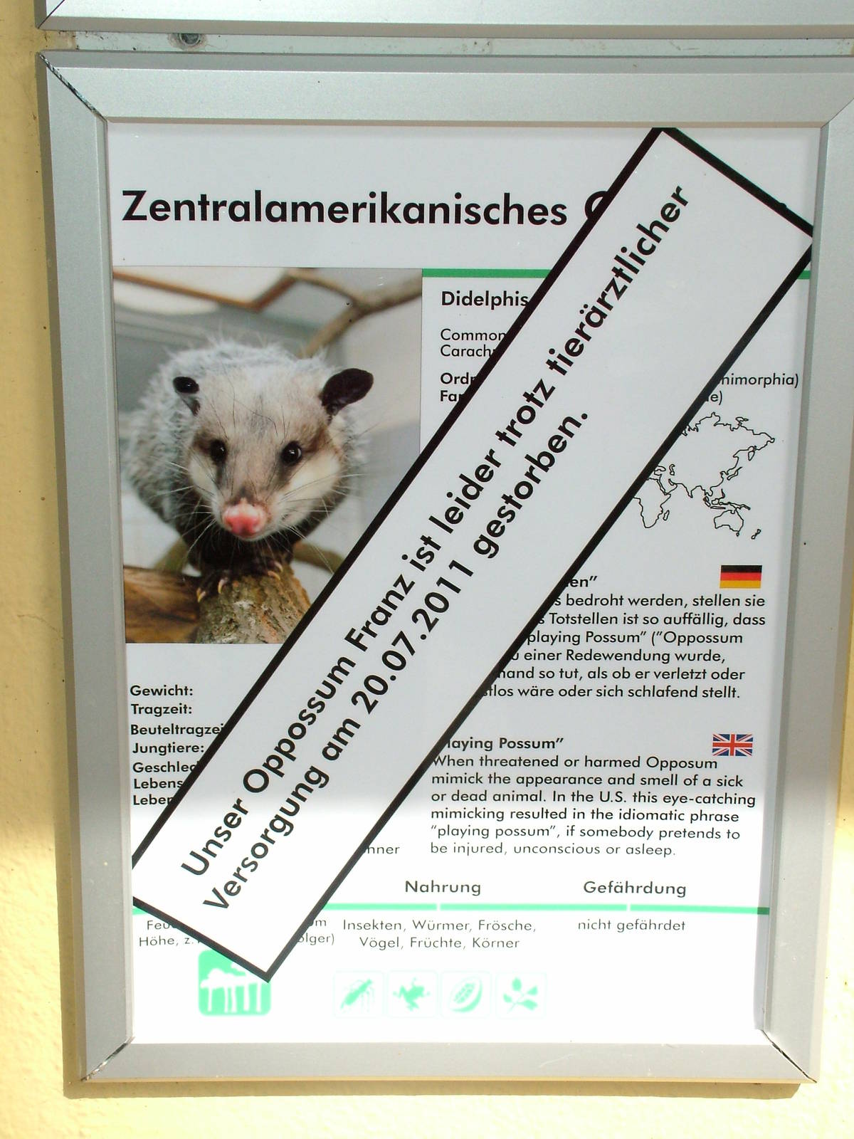 Signage Example at Halle, 04/09/11