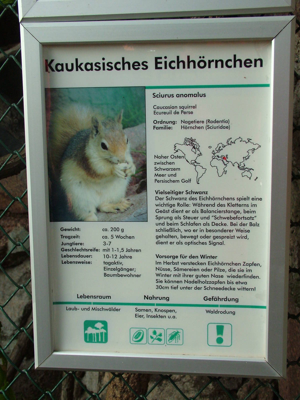 Signage Example at Halle, 04/09/11