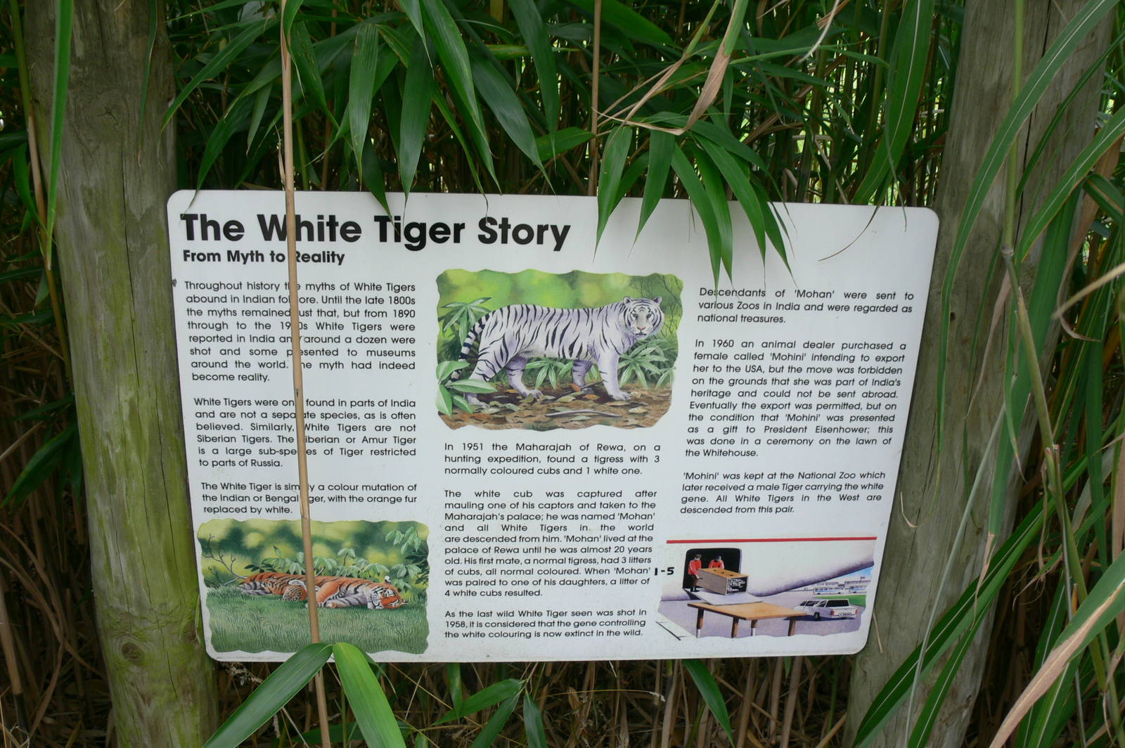 Signage Example at Hamerton Zoo, 23/08/14