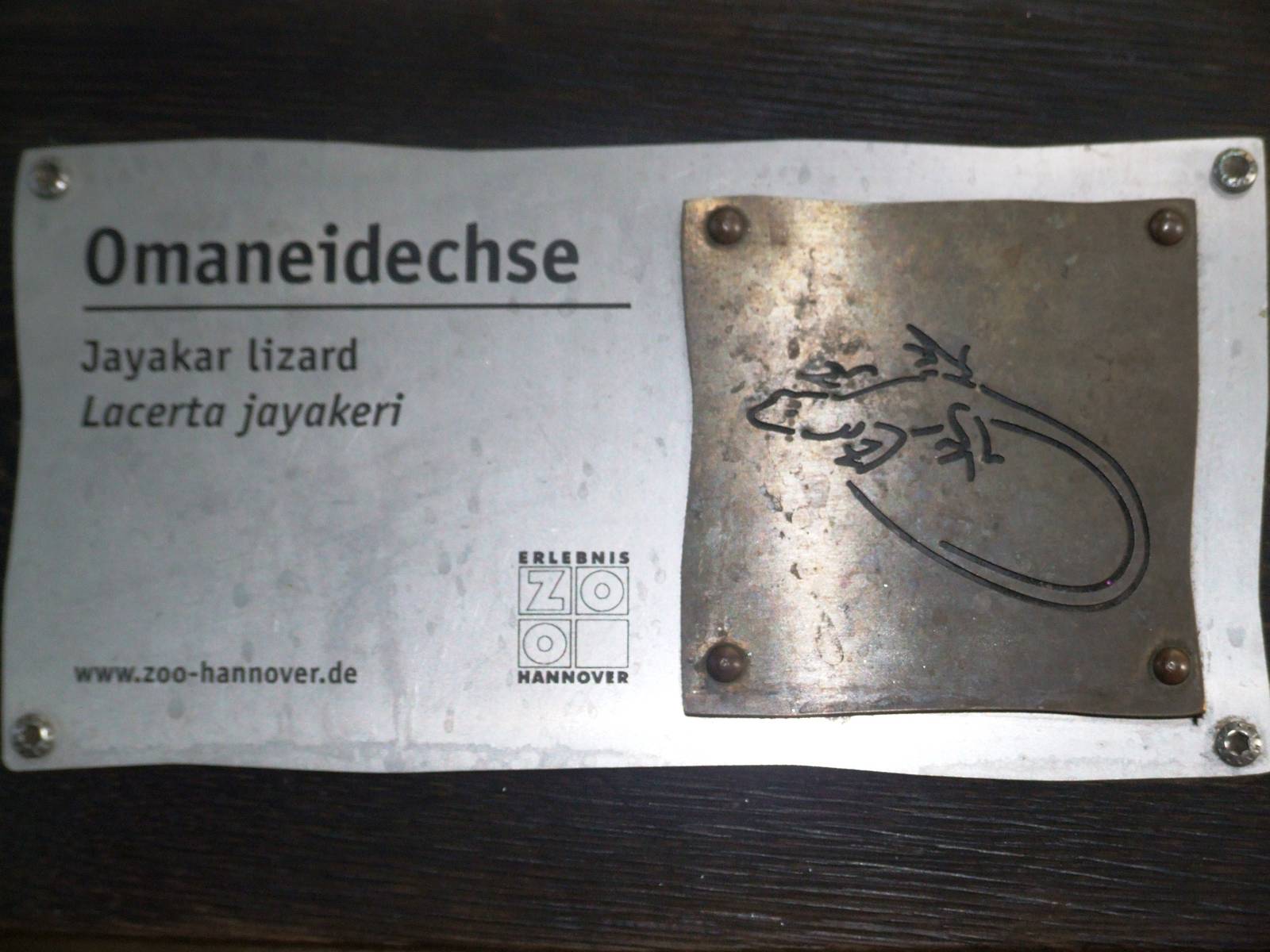 Signage Example at Hannover, 23/03/13