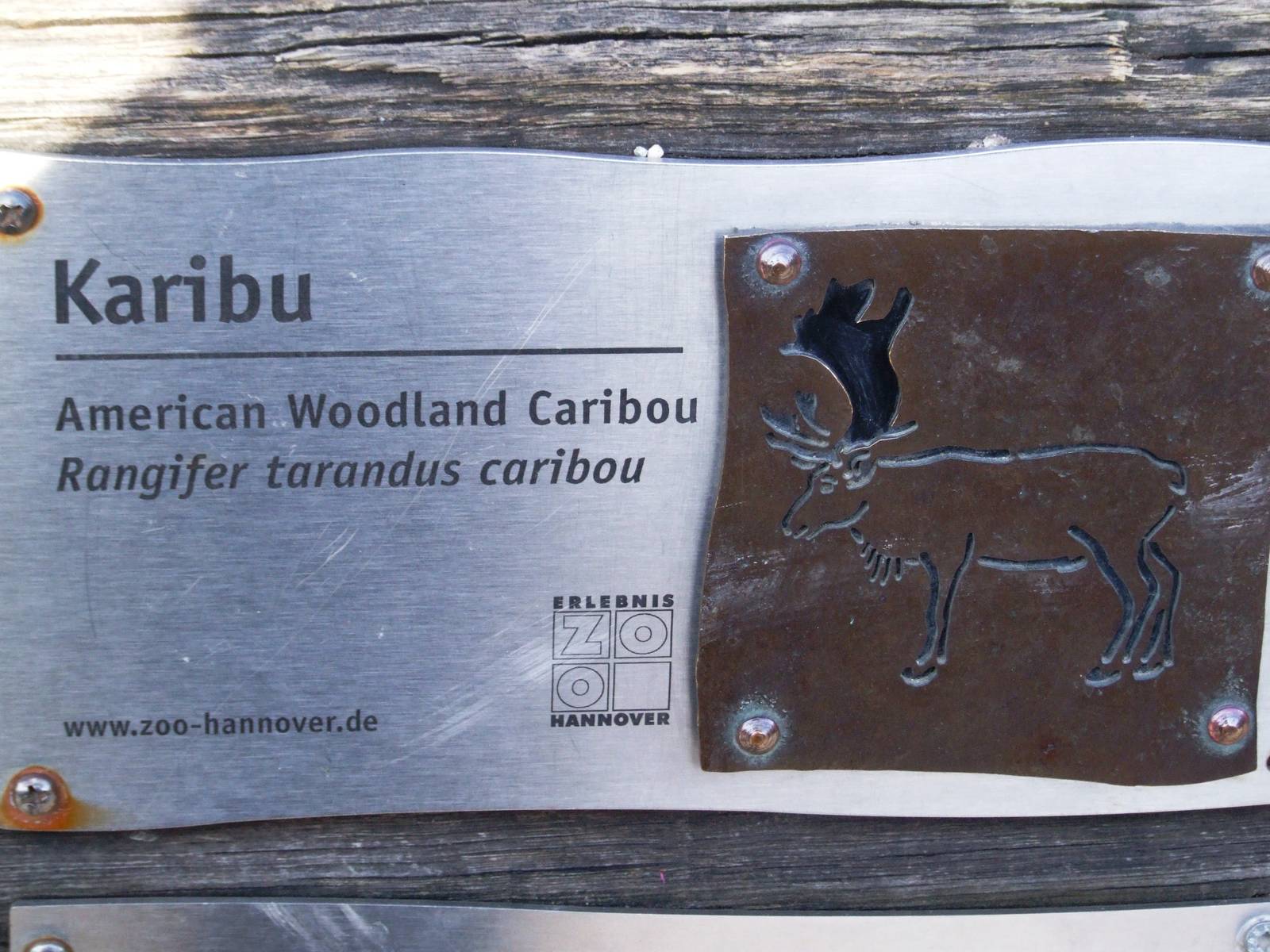 Signage Example at Hannover, 23/03/13