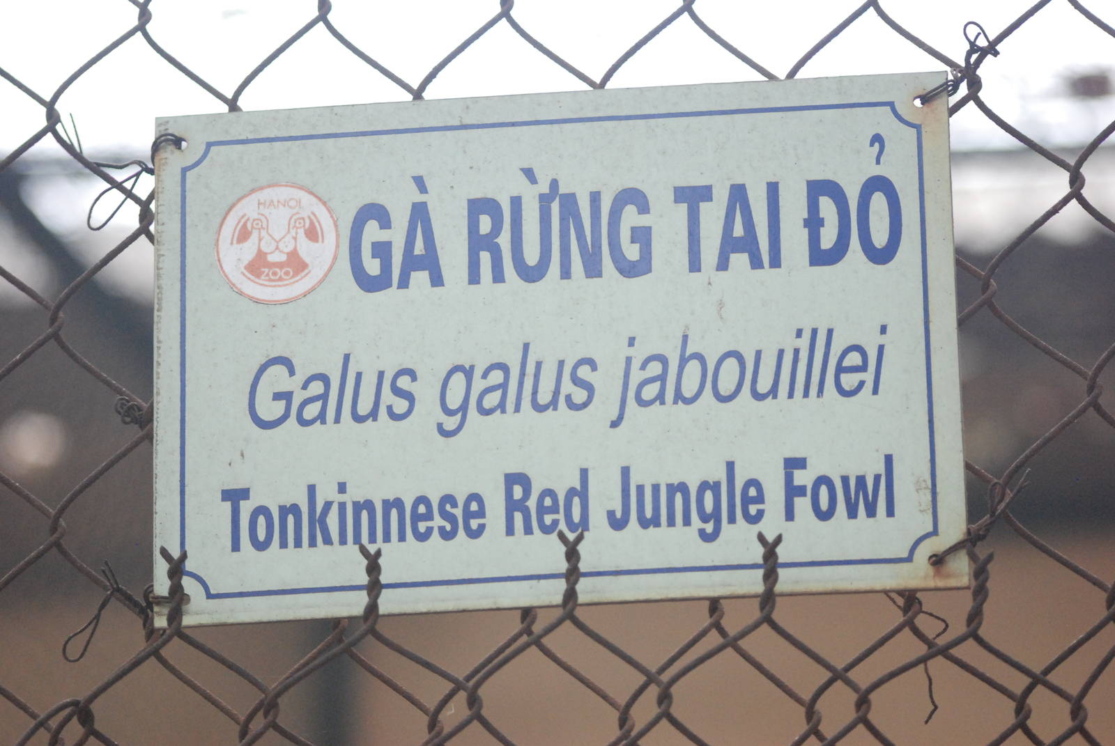 Signage Example at Hanoi Zoo, 15/03/12