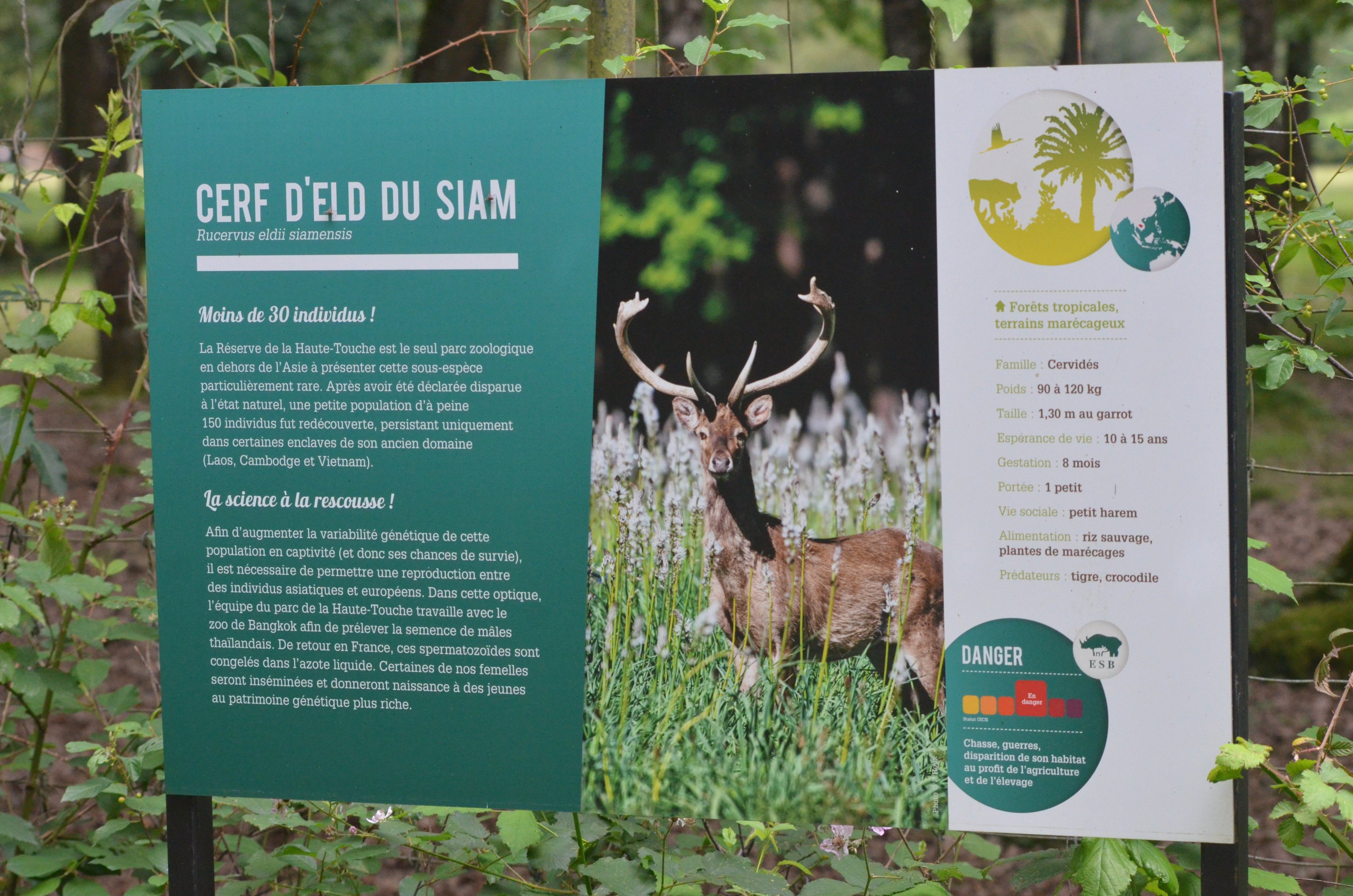 Signage Example at Haute-Touche, 14/06/18