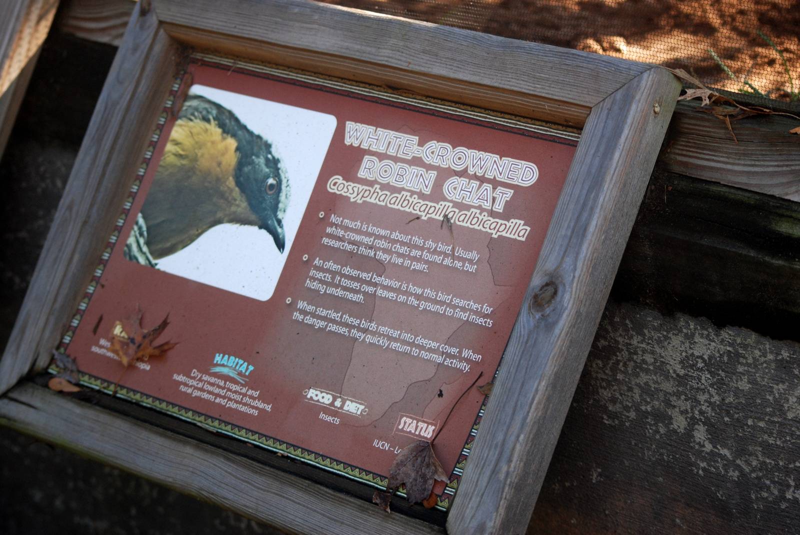 Signage Example at Jacksonville, 10/10/13