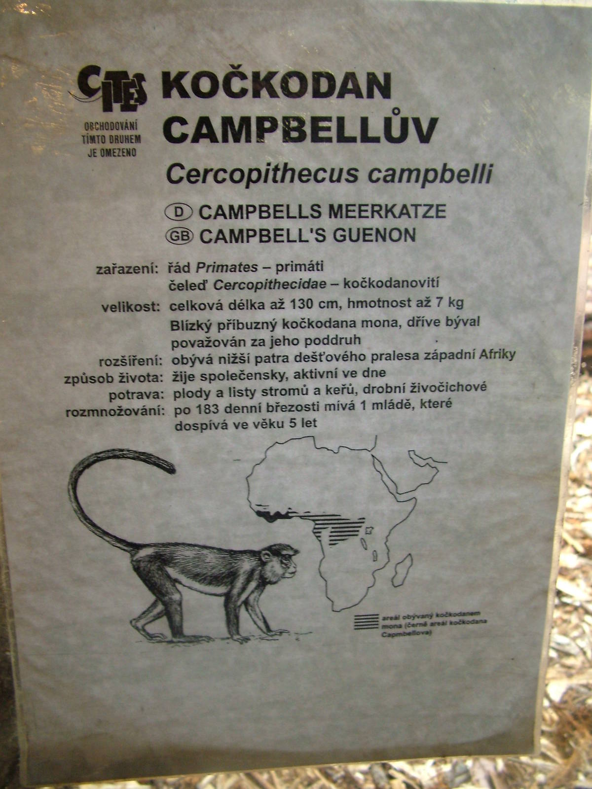 Signage example at Jihlava, 31/05/10