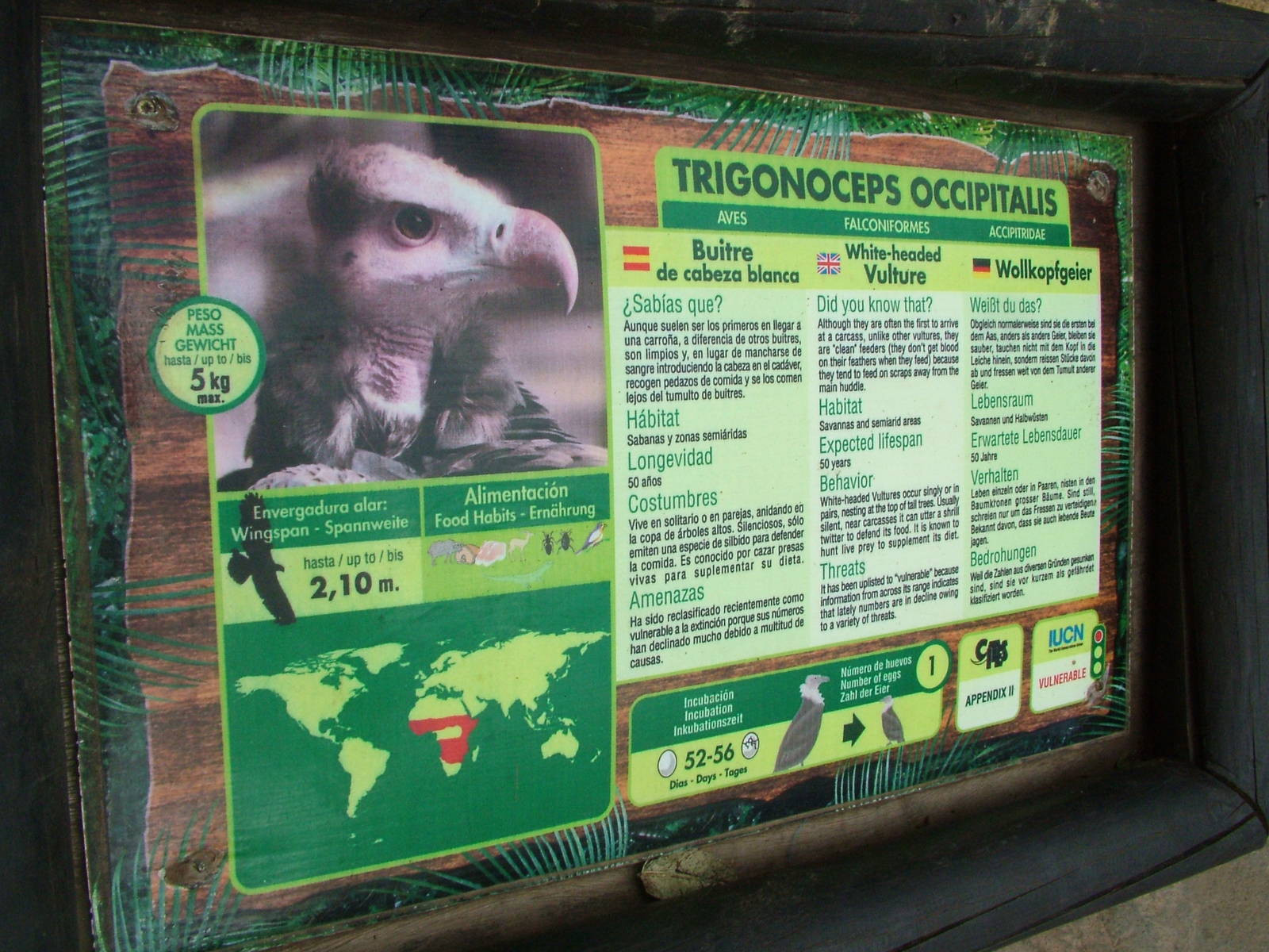 Signage Example at Jungle Park (Las Aguilas), 13/11/10