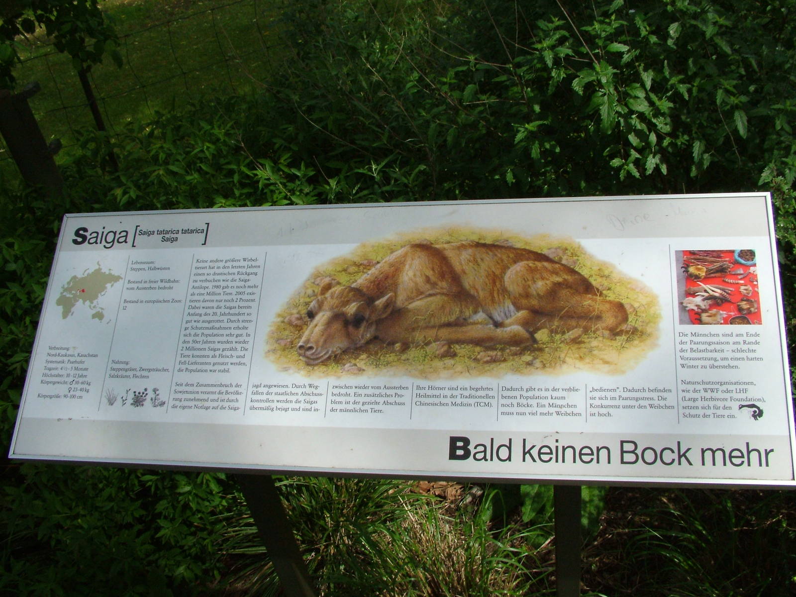 Signage example at Koeln 12/05/09