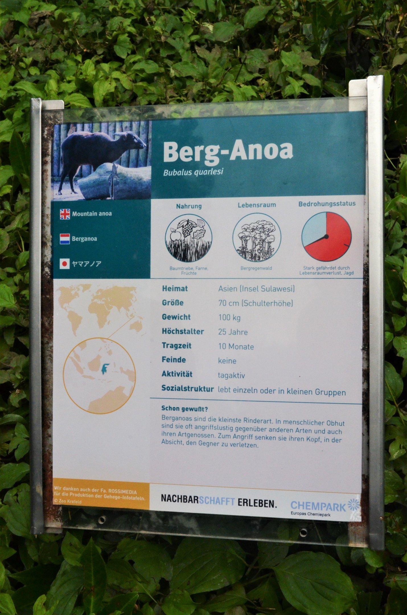 Signage Example at Krefeld, 15/06/19