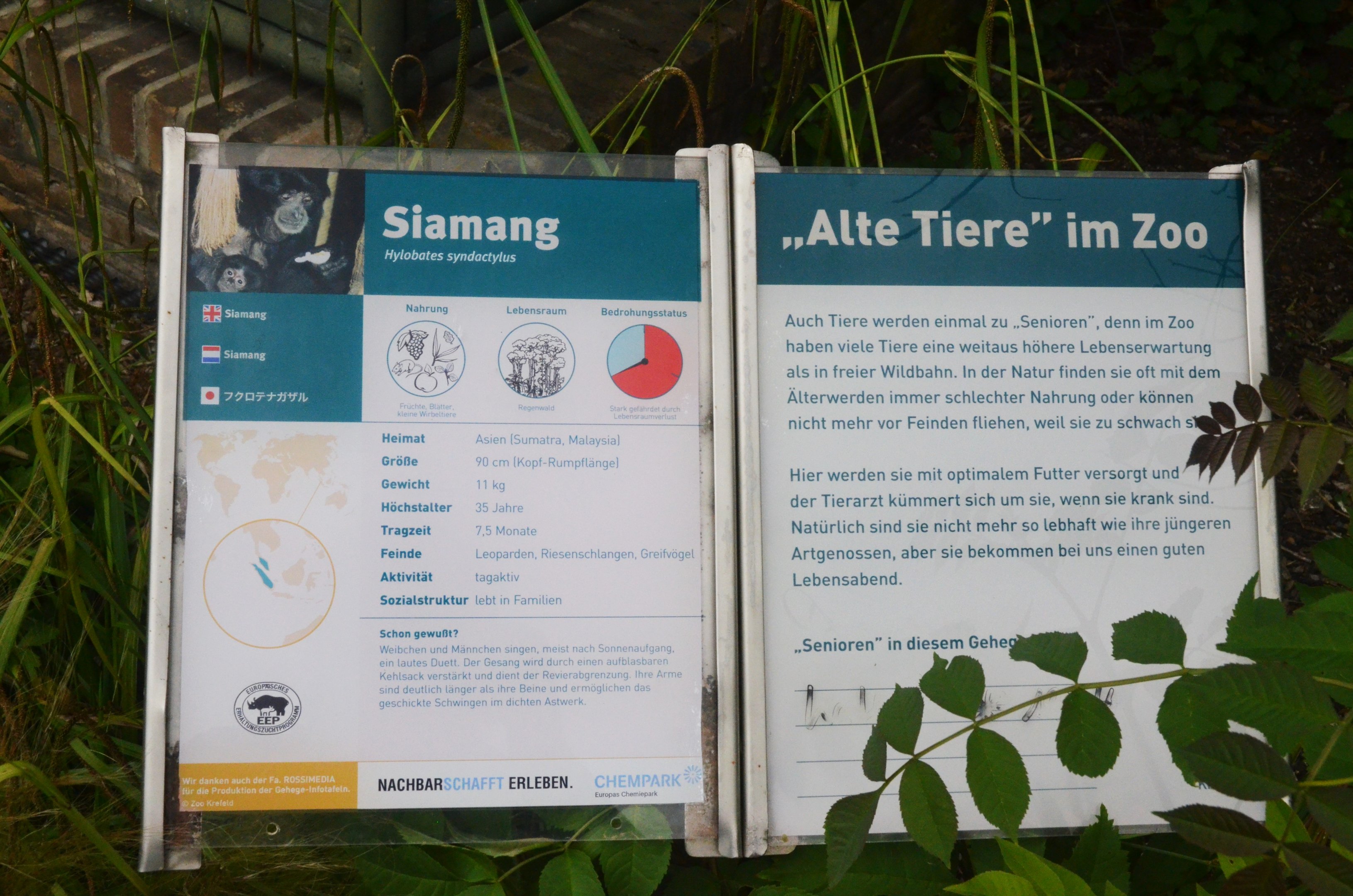 Signage Example at Krefeld, 15/06/19