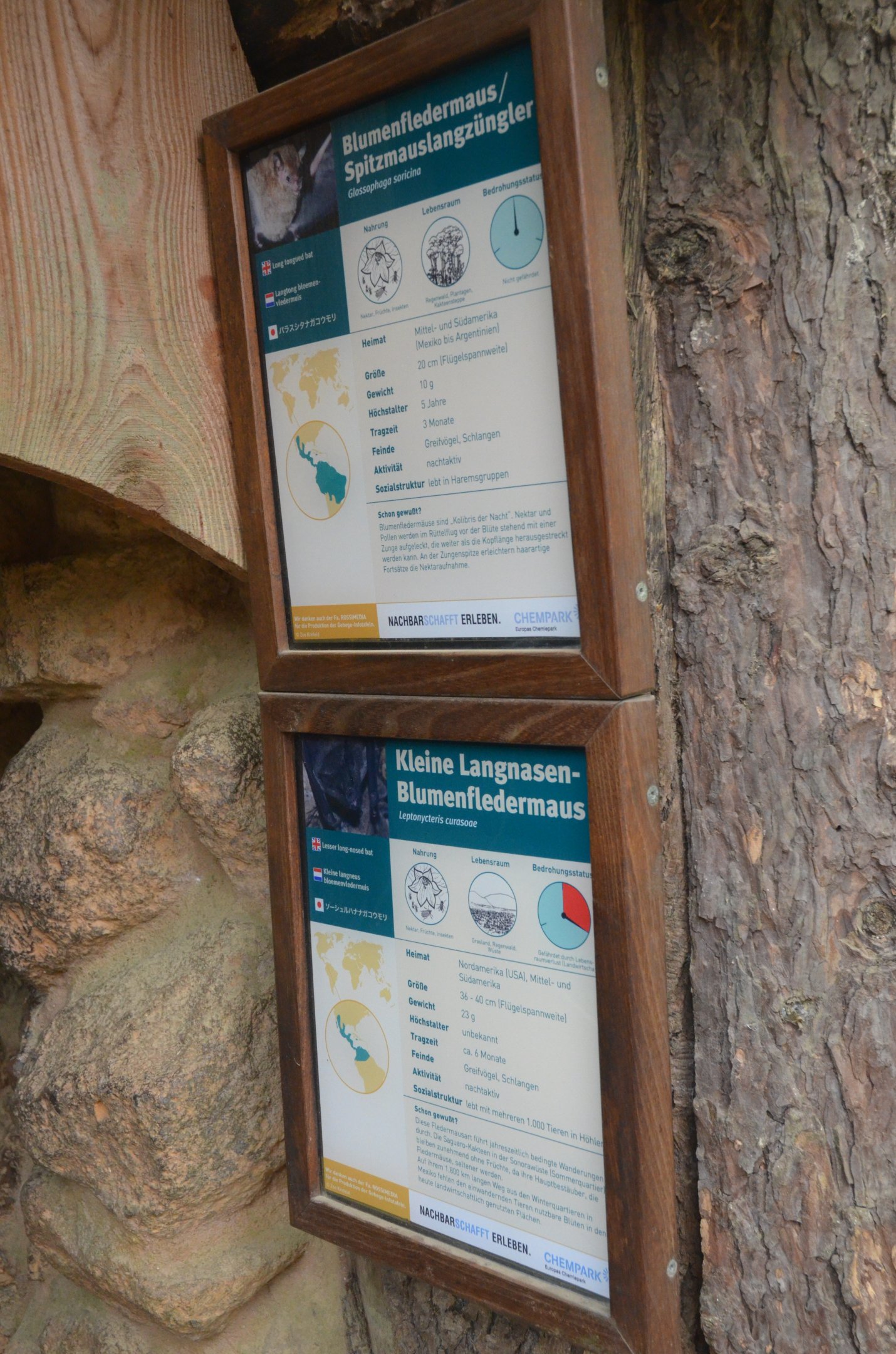 Signage Example at Krefeld, 15/06/19