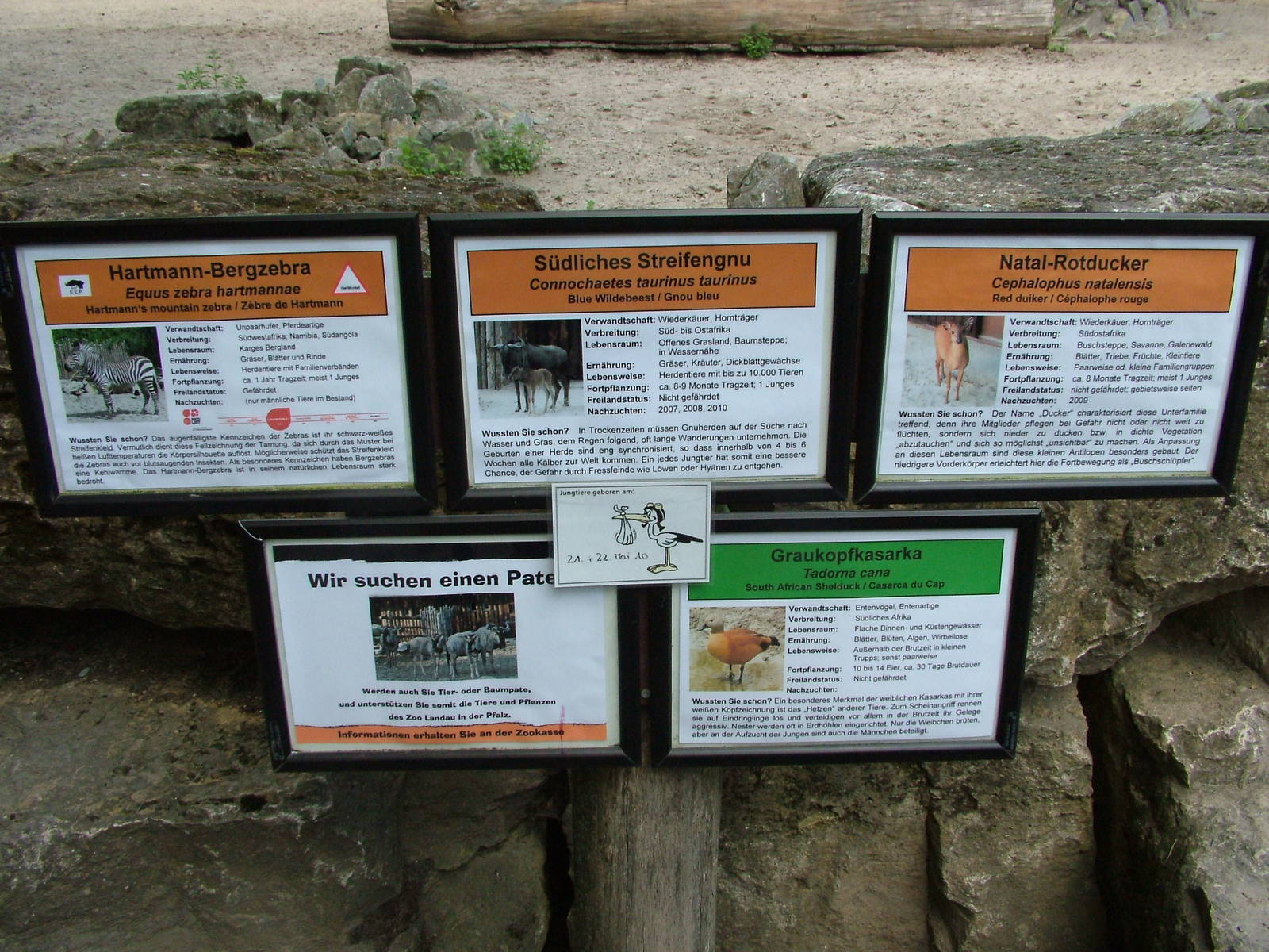 Signage Example at Landau Zoo, 04/09/10