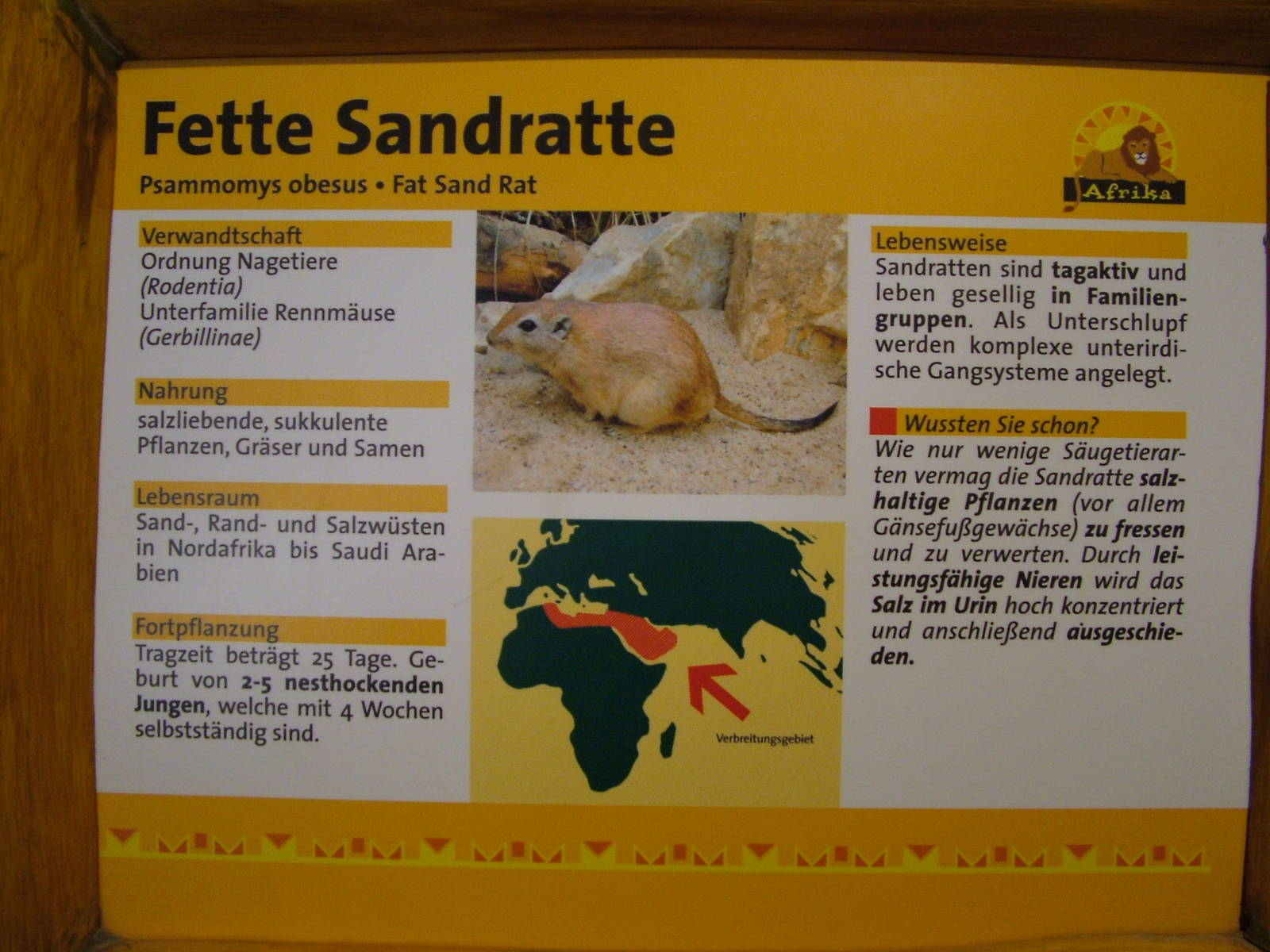 Signage Example at Leipzig, 02/09/11