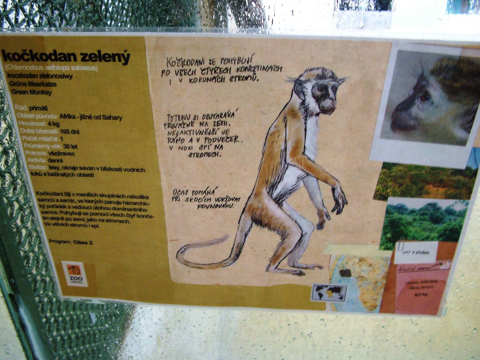 Signage Example at Liberec, 28/08/12