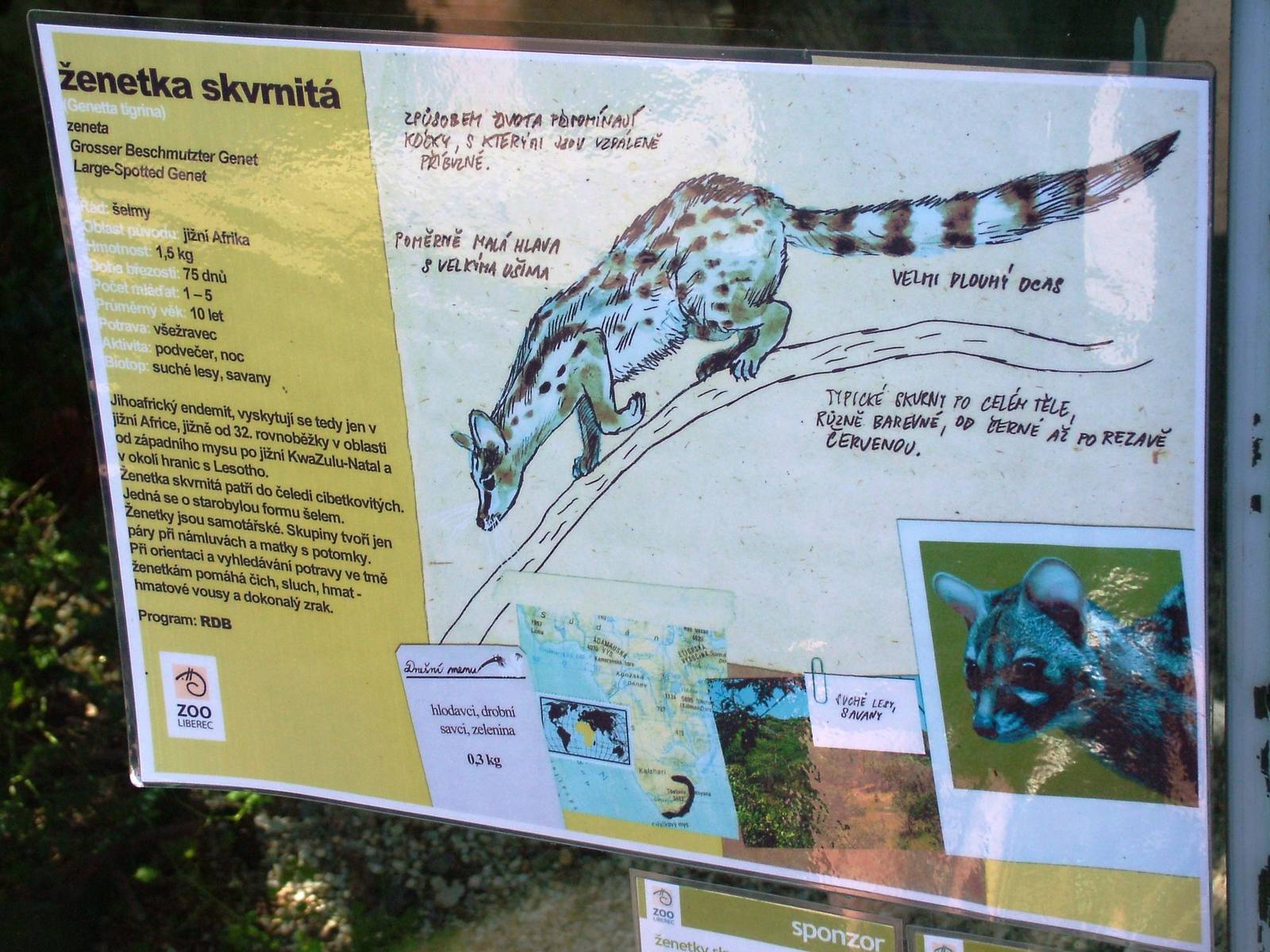 Signage Example at Liberec, 28/08/12