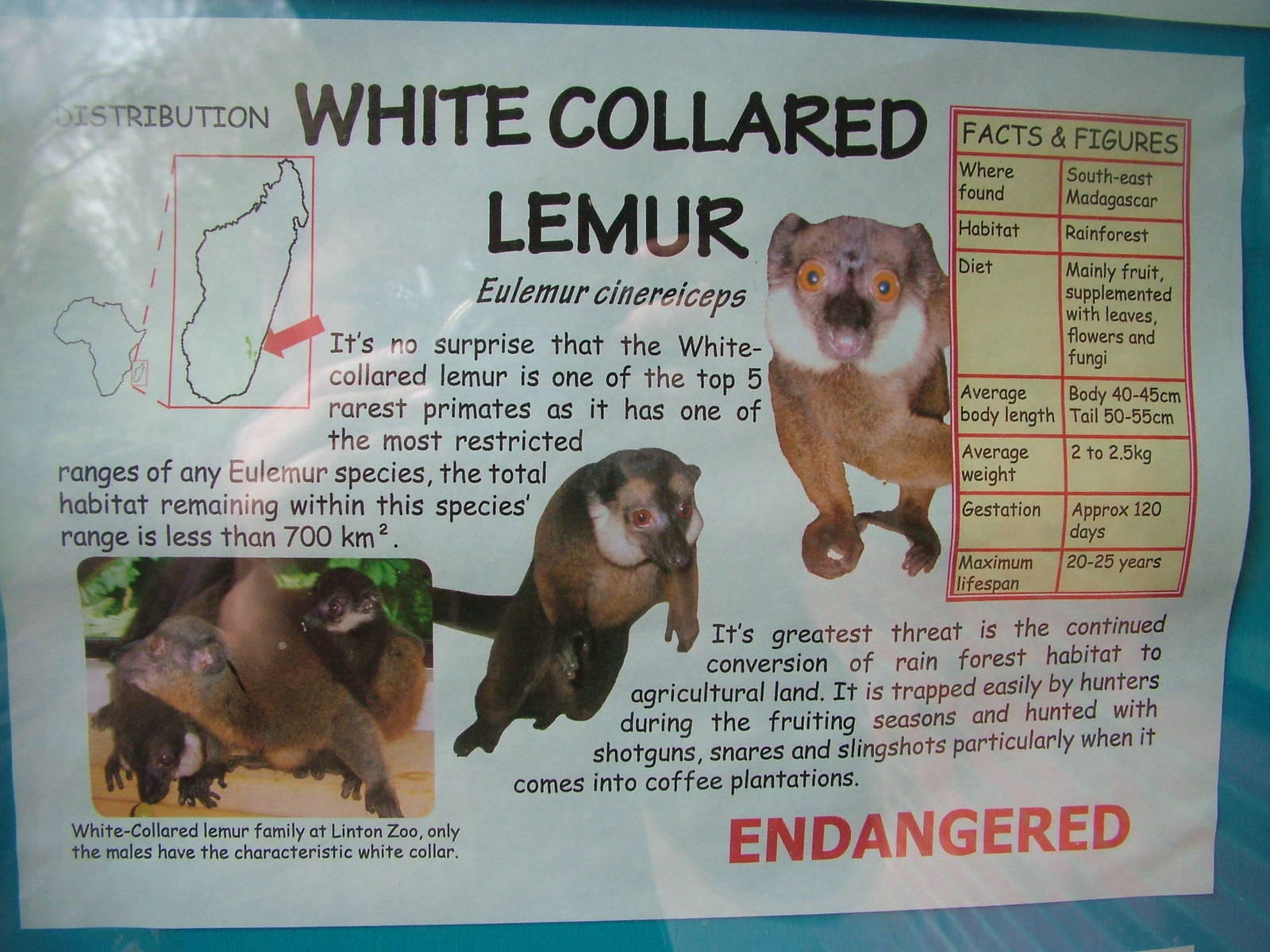 Signage example at Linton 05/04/10