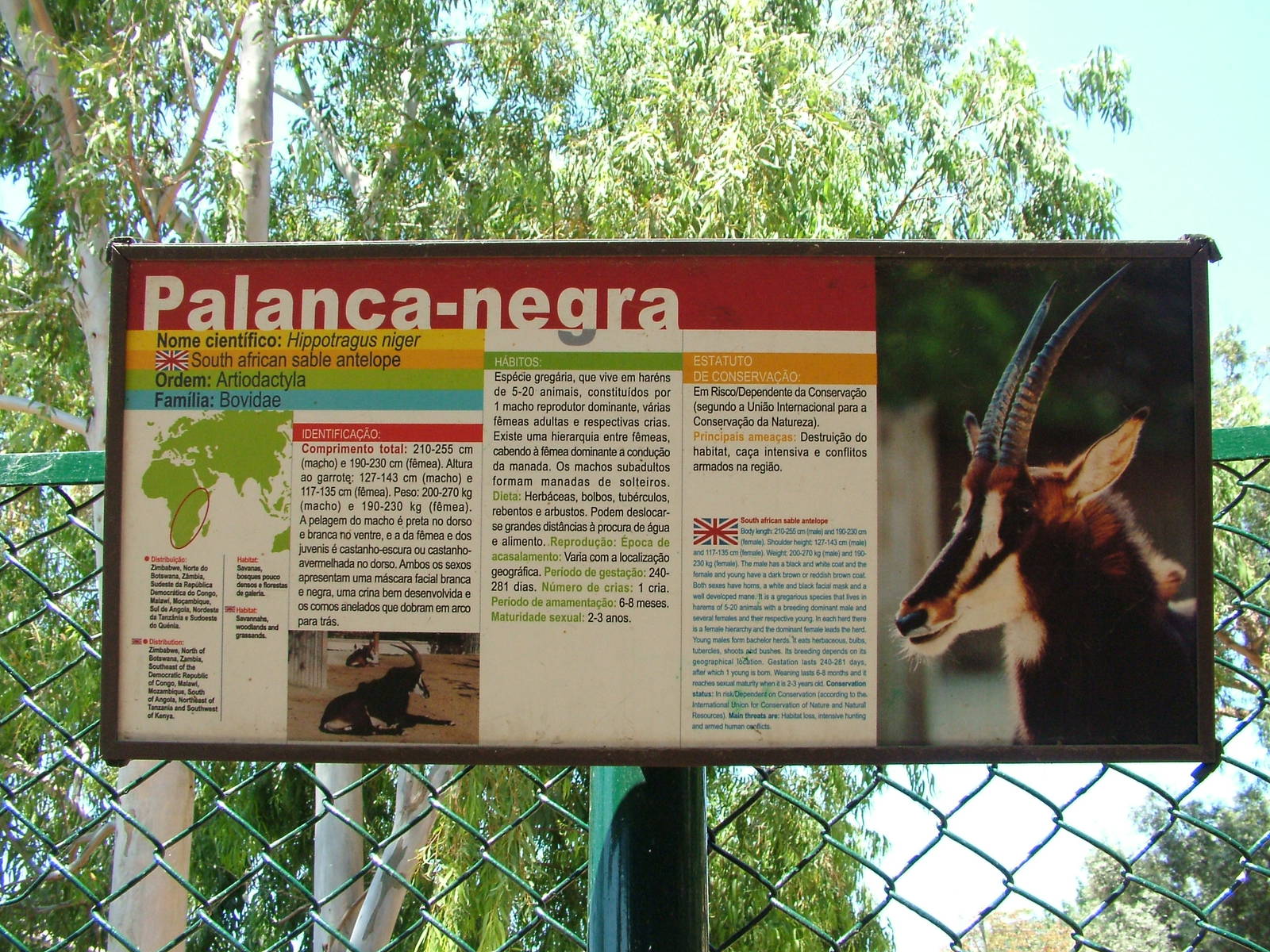 Signage Example at Lisbon Zoo, 24/05/11