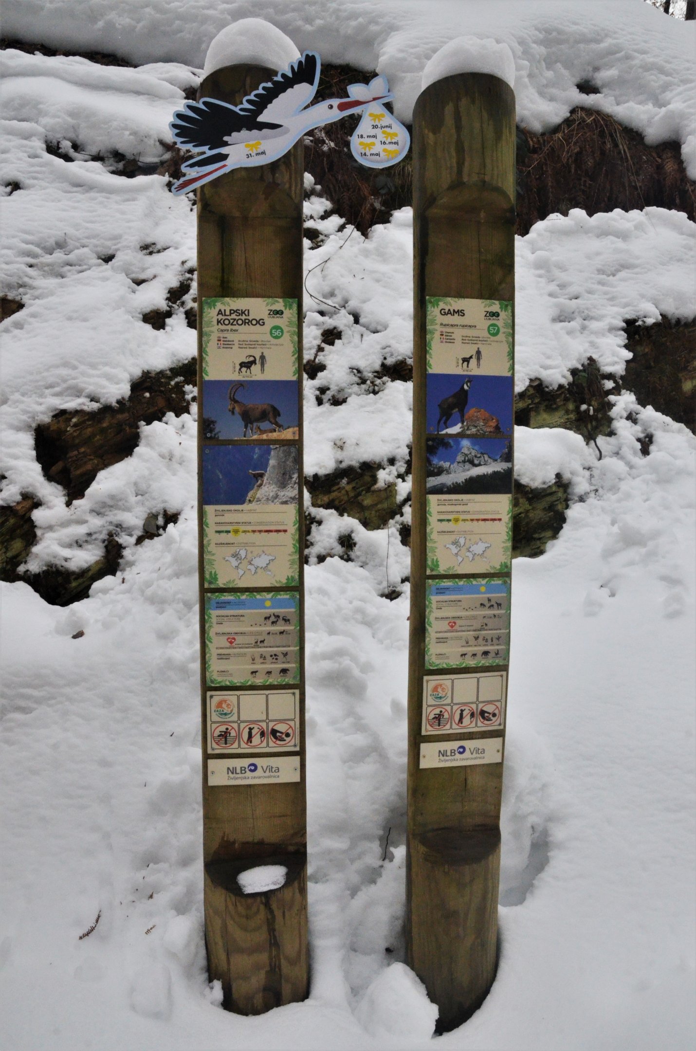 Signage Example at Ljubljana Zoo, 07/03/18