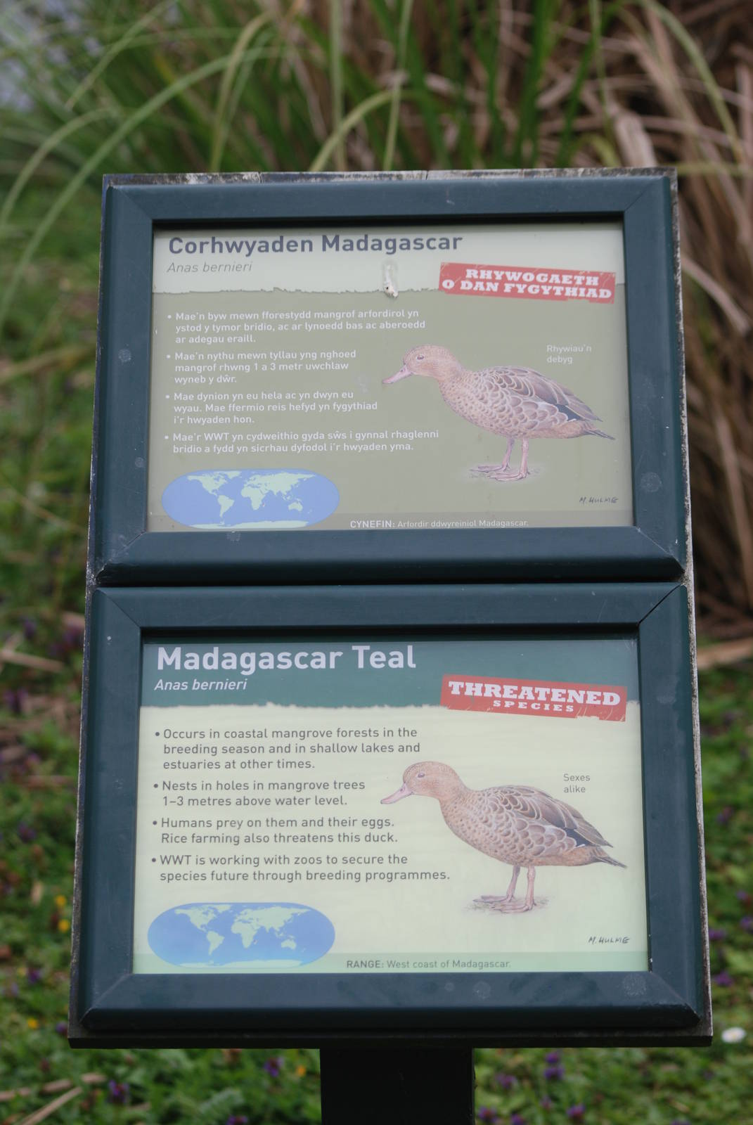 Signage Example at Llanelli WWT, 31/07/11