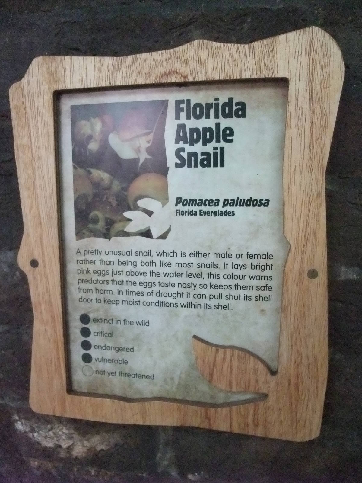 Signage Example at London, 16/11/11