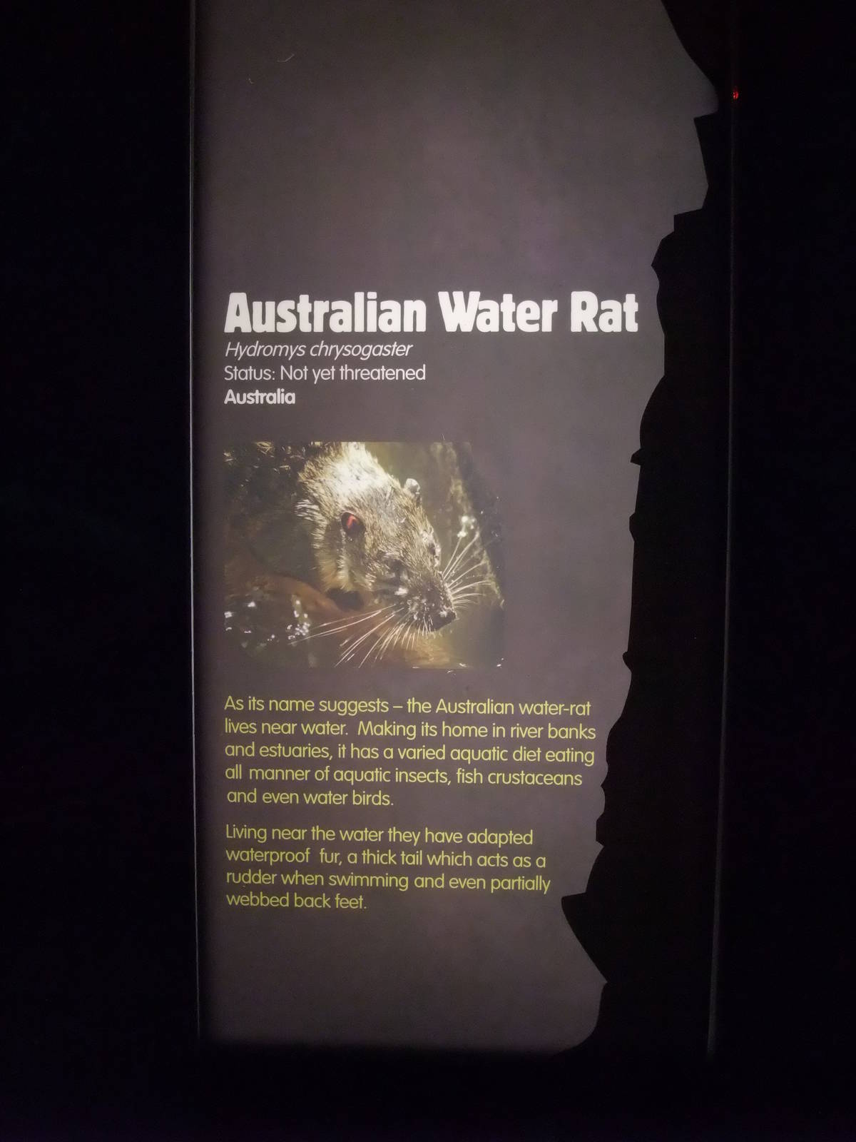 Signage Example at London, 16/11/11