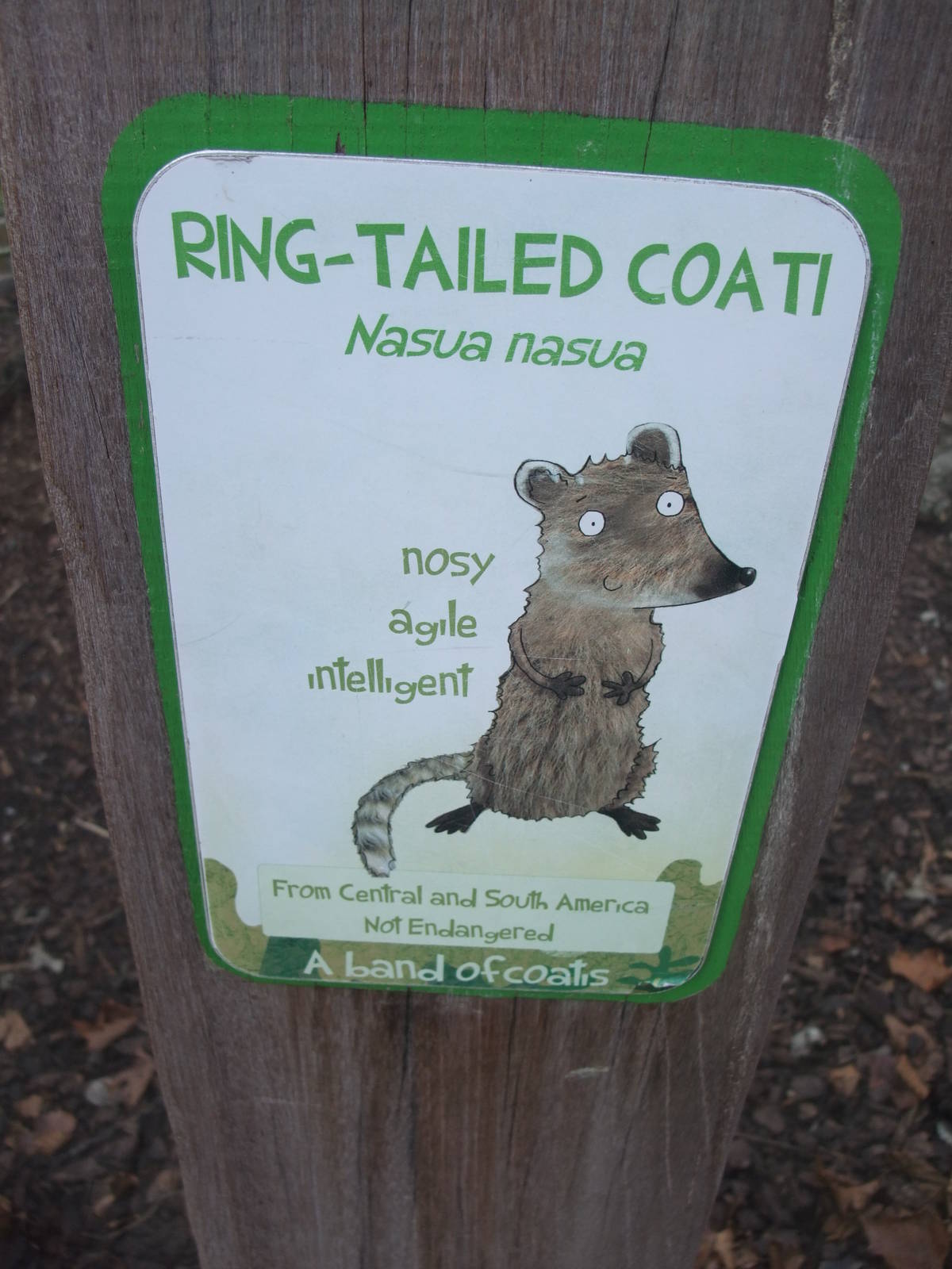 Signage Example at London, 16/11/11