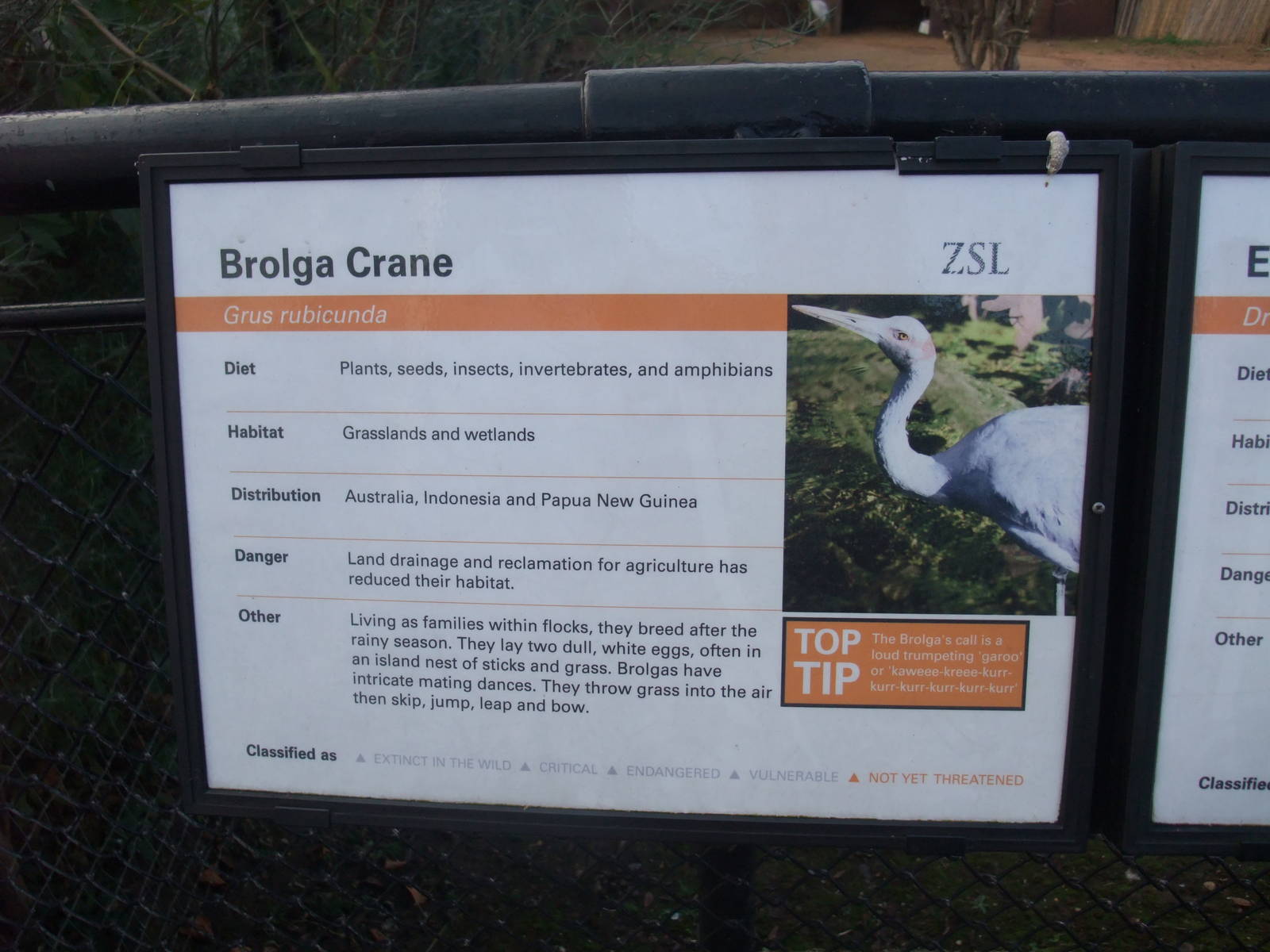 Signage Example at London, 16/11/11