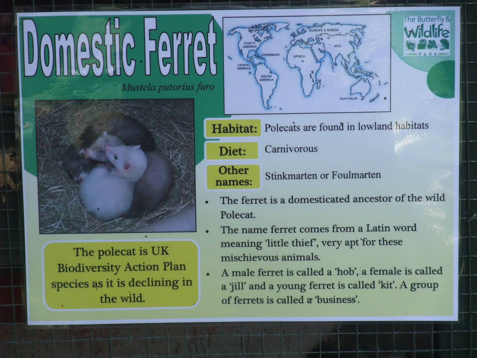 Signage Example at Long Sutton 25/04/11