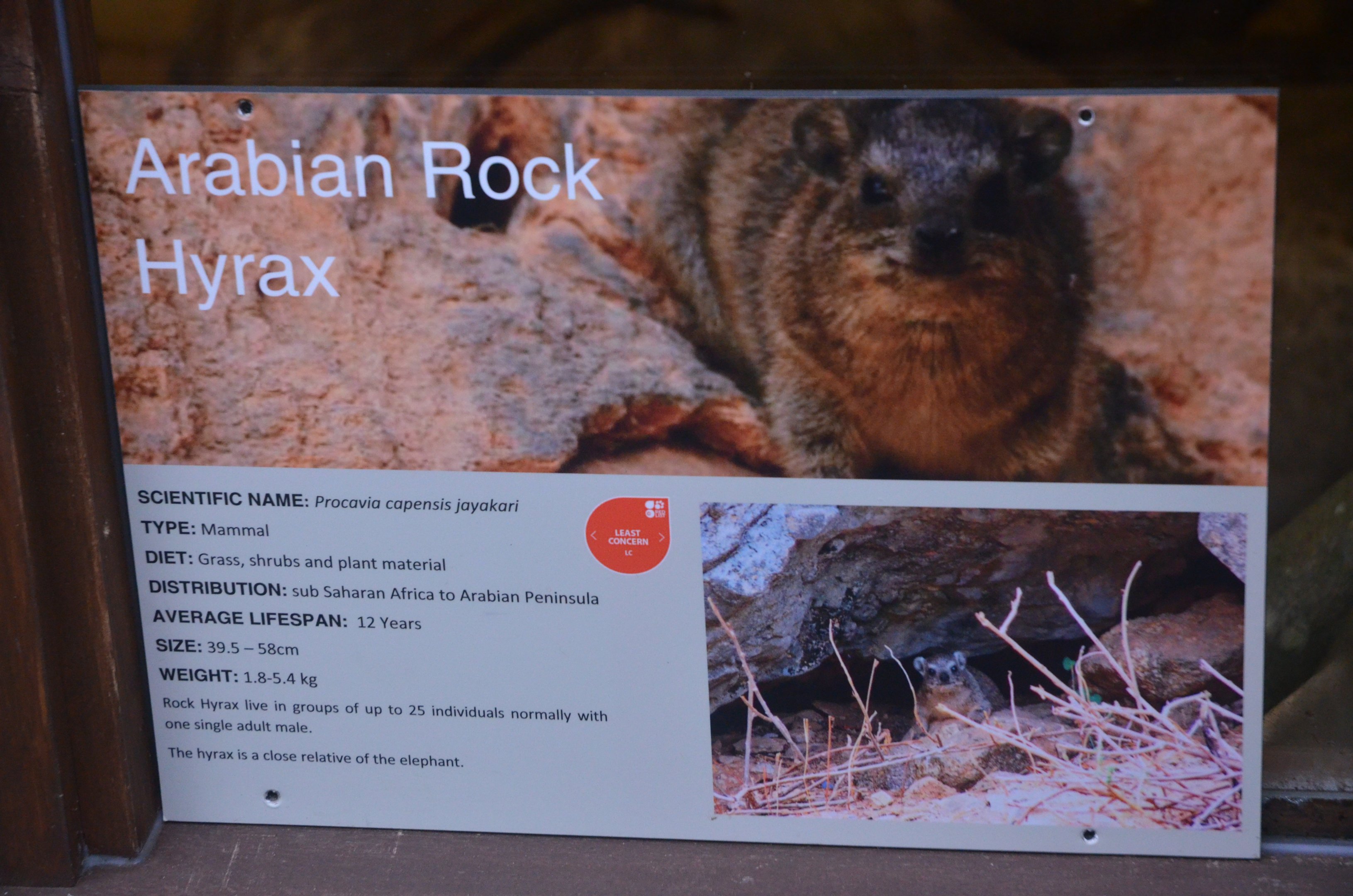 Signage Example at Longleat, 03/11/19