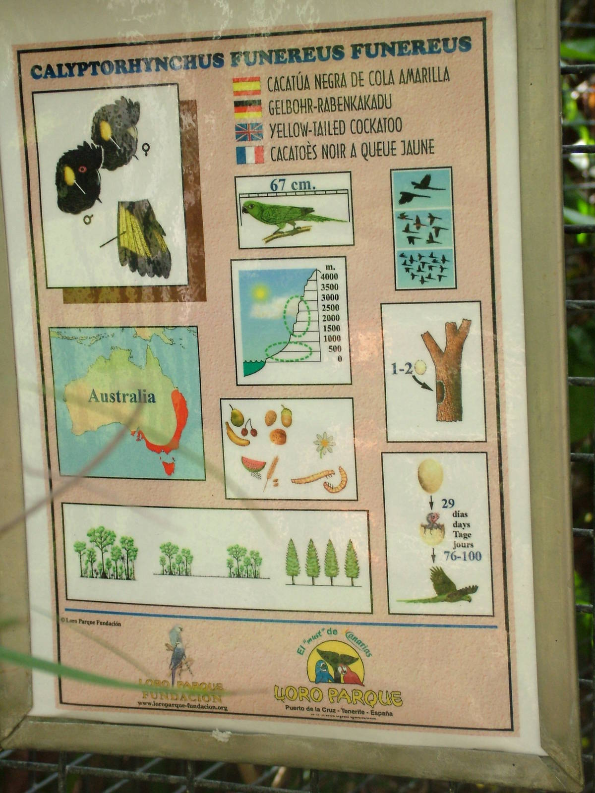 Signage Example at Loro Parque, 08/11/10