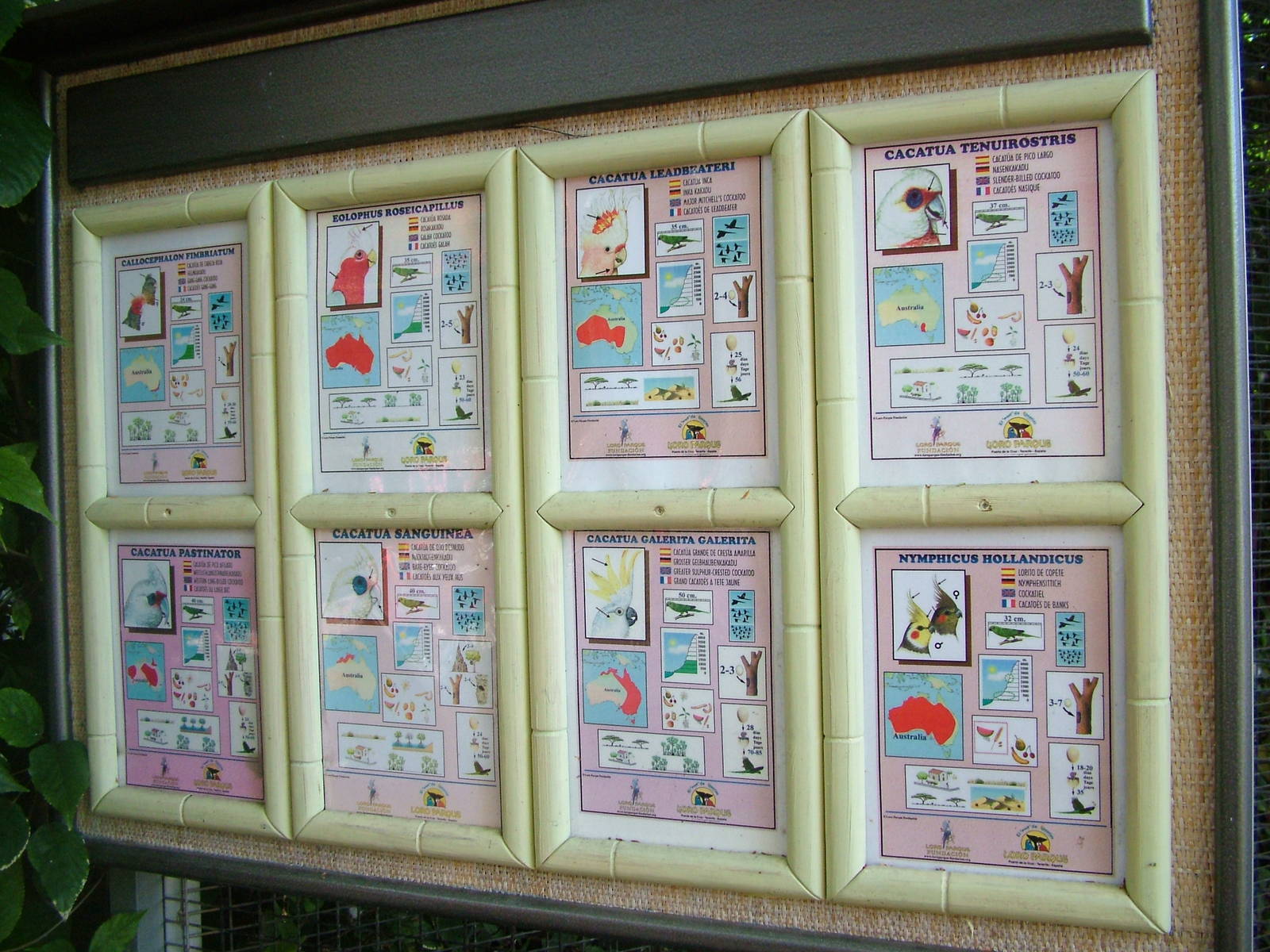 Signage Example at Loro Parque, 08/11/10