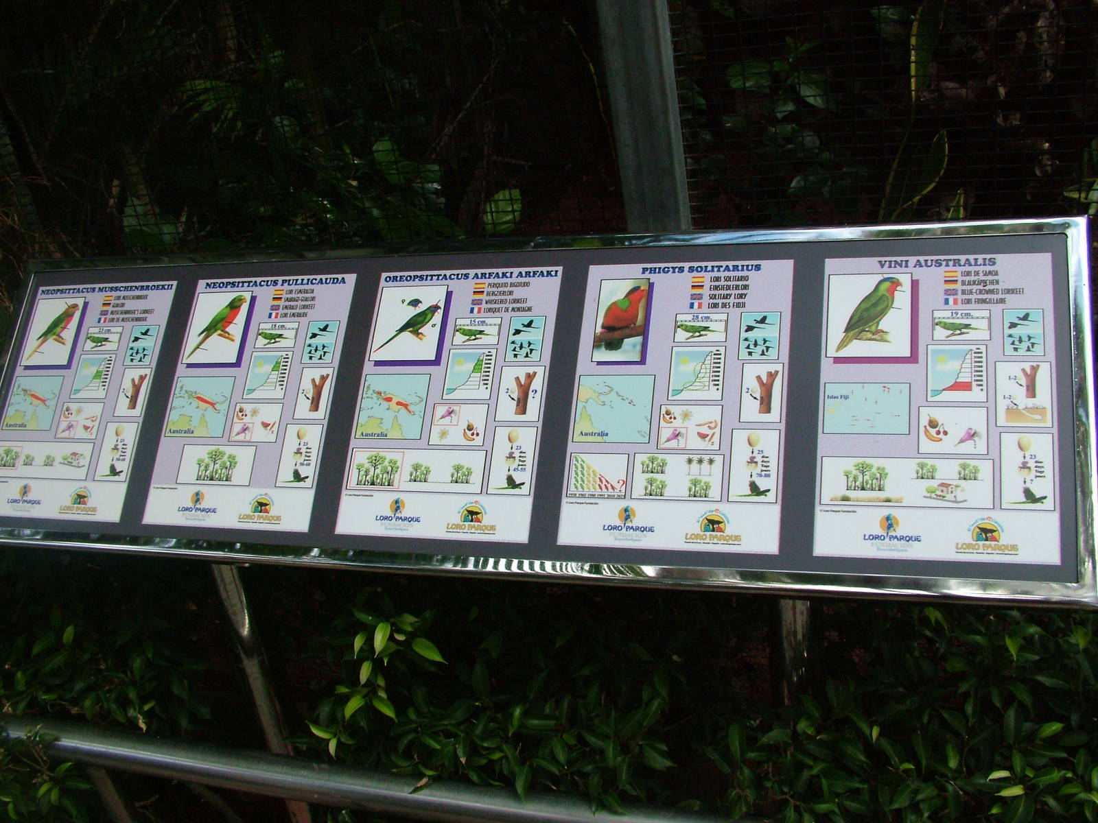 Signage Example at Loro Parque, 08/11/10