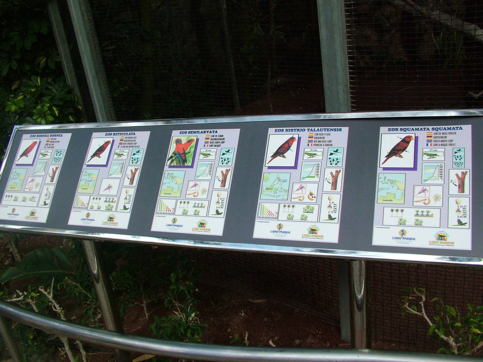 Signage Example at Loro Parque, 08/11/10